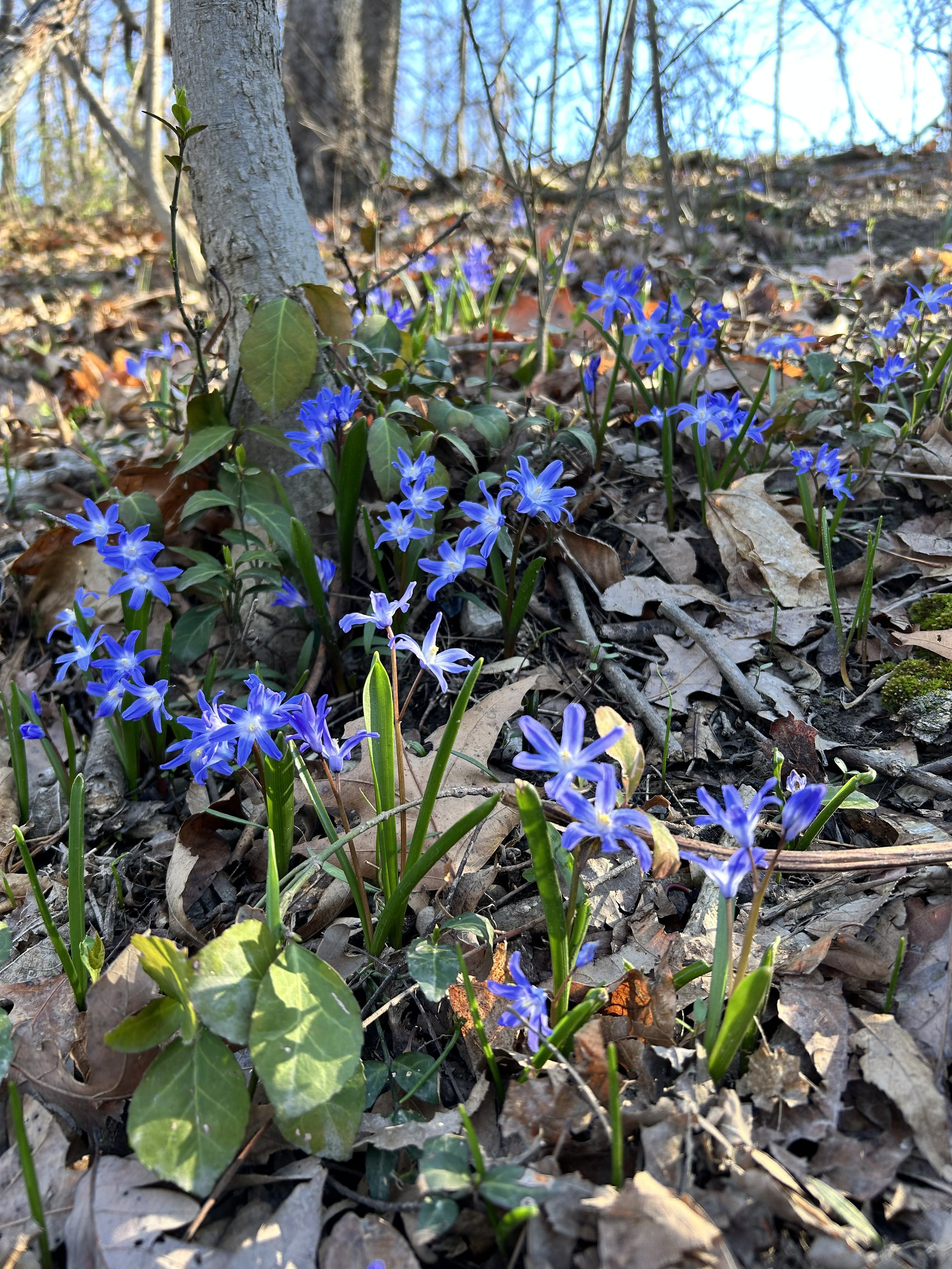The secret to successful spring cleaning…