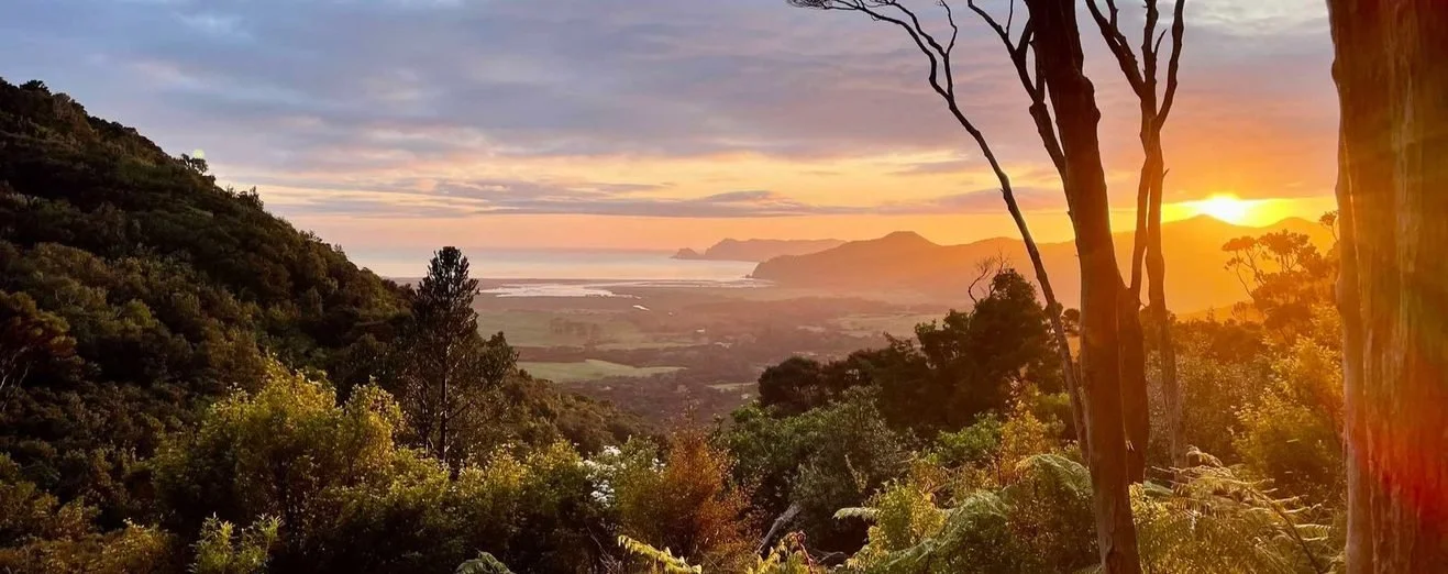 October 2025 Newsletter