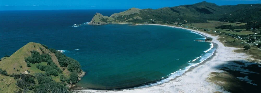 Expressions of Interest - Seeking Artists