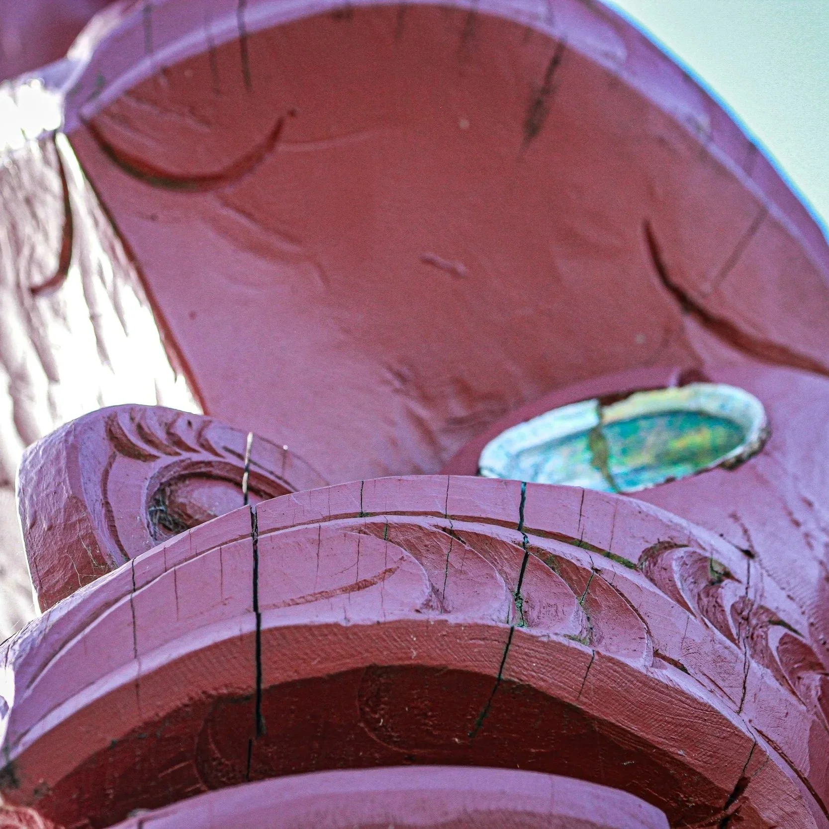 Treaty Claim Steering Group 