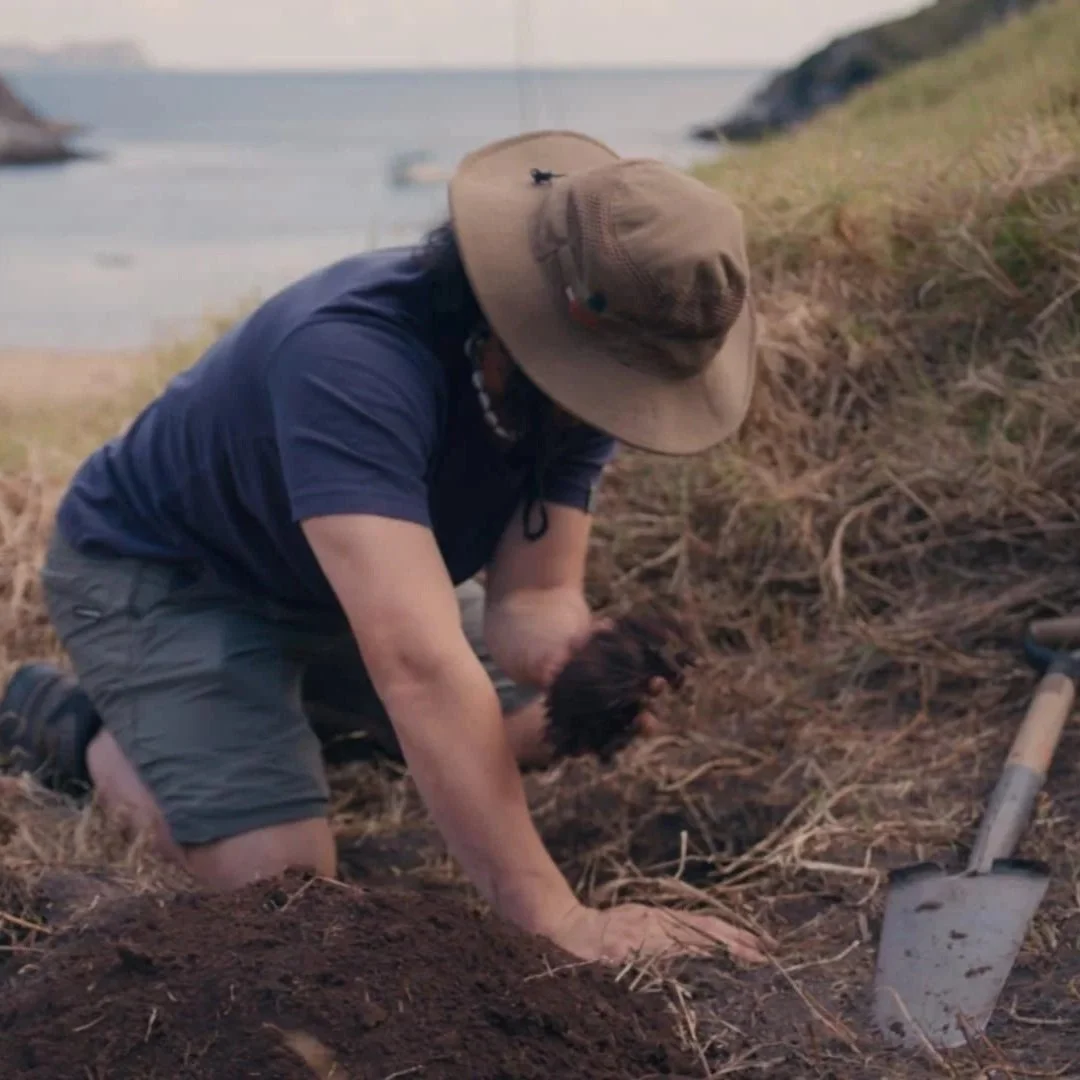 Pou Whenua Steering Group 
