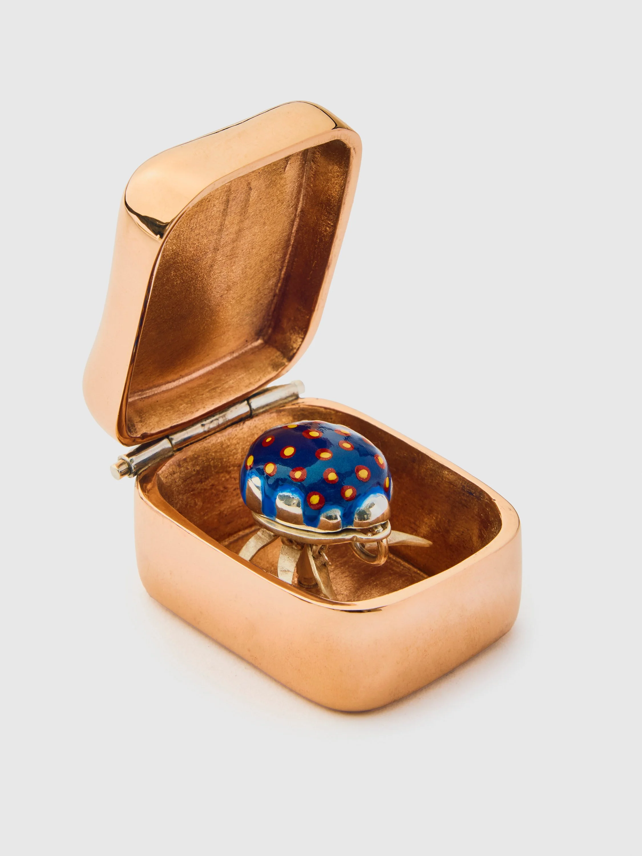 Dancing bug photo.jpg