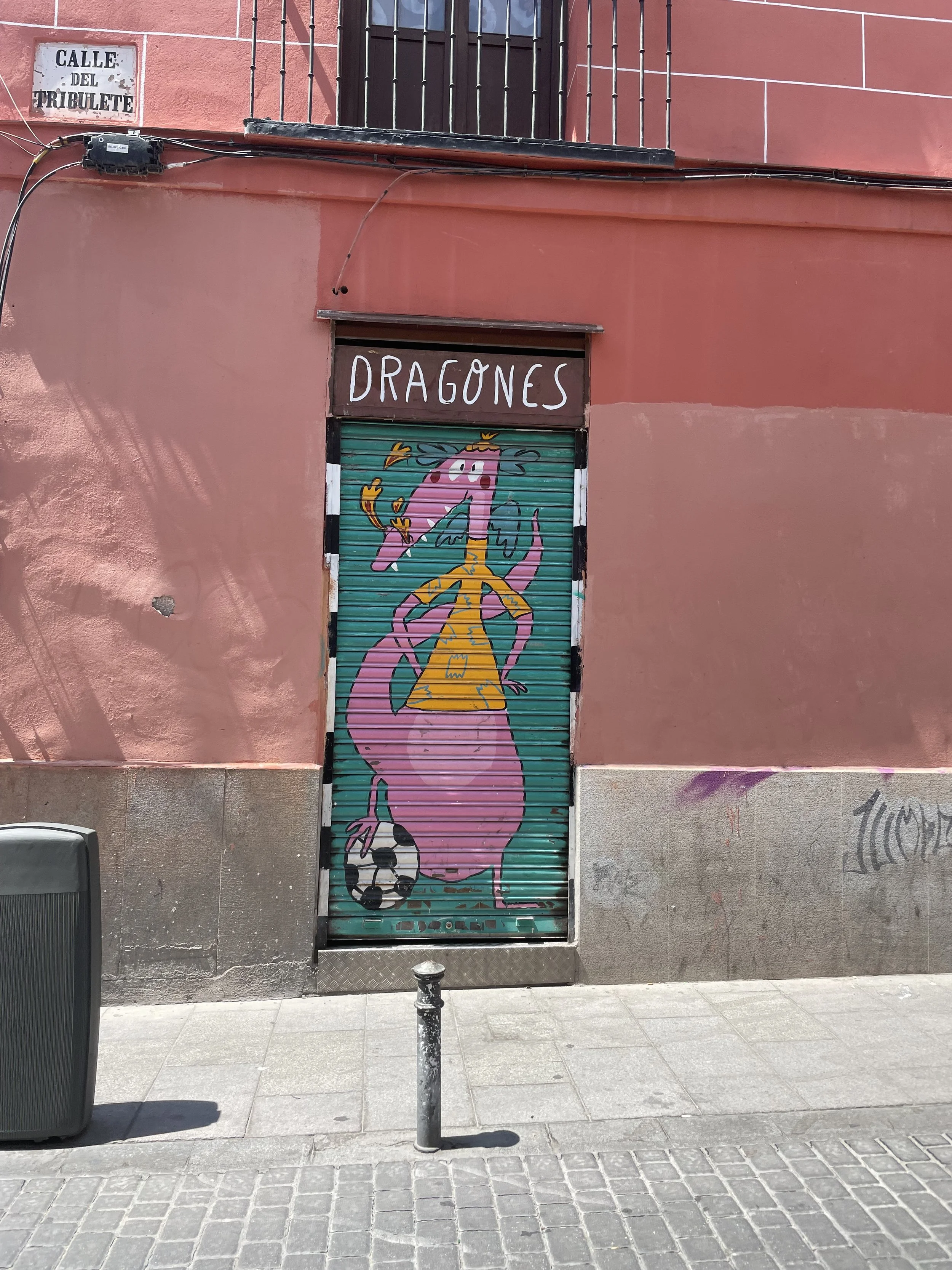IMG_5276.jpeg