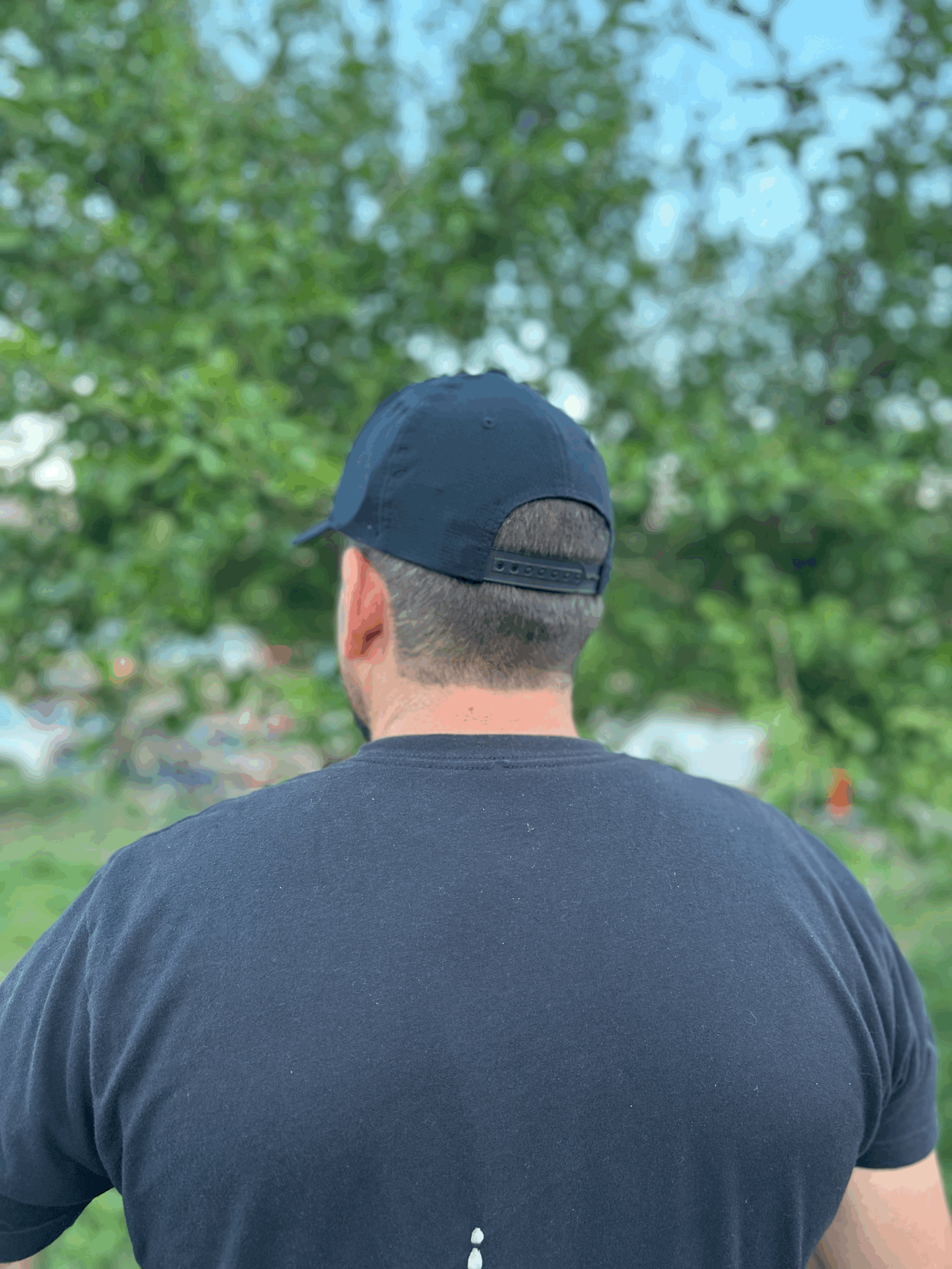 tempImagepY1xCu.gif