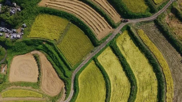 In Shinto, the indigenous spiritual belief system of Japan, there is a profound connection between humans and nature, recognized through the reverence for kami, or spirits. Kami are believed to inhabit natural elements such as waterfalls, mountains, 