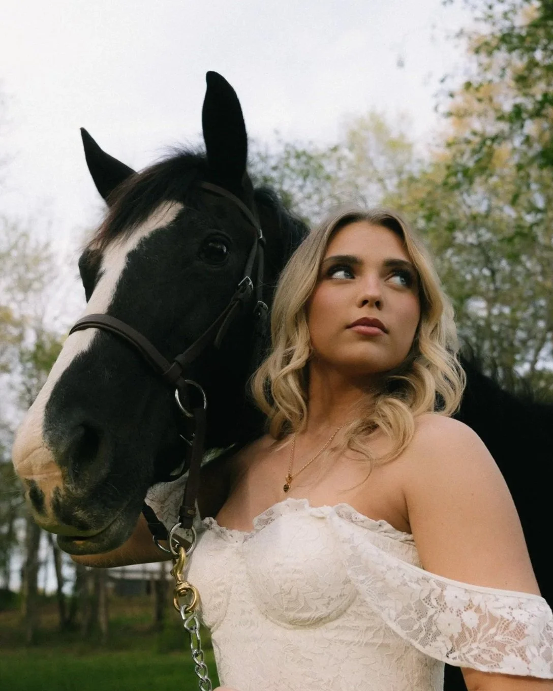 EQUINE EXPERIENCES