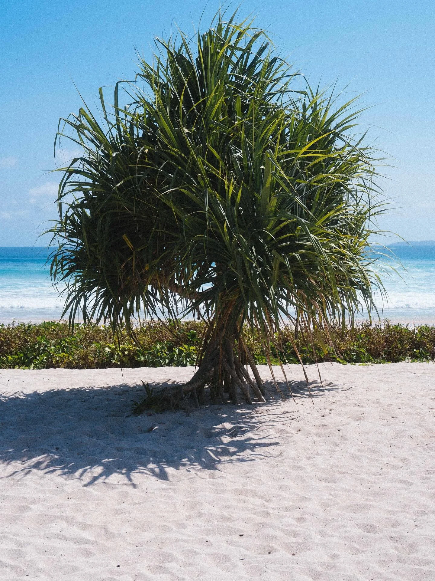🌞 Print and custom size possible 🌞 
Club Pantai draws its inspiration from Indonesian nature and the ocean that surrounds it.
Endless beaches, glowing sunsets, and the gentle trade winds breathe life into our creations.

Each piece carries a fragme