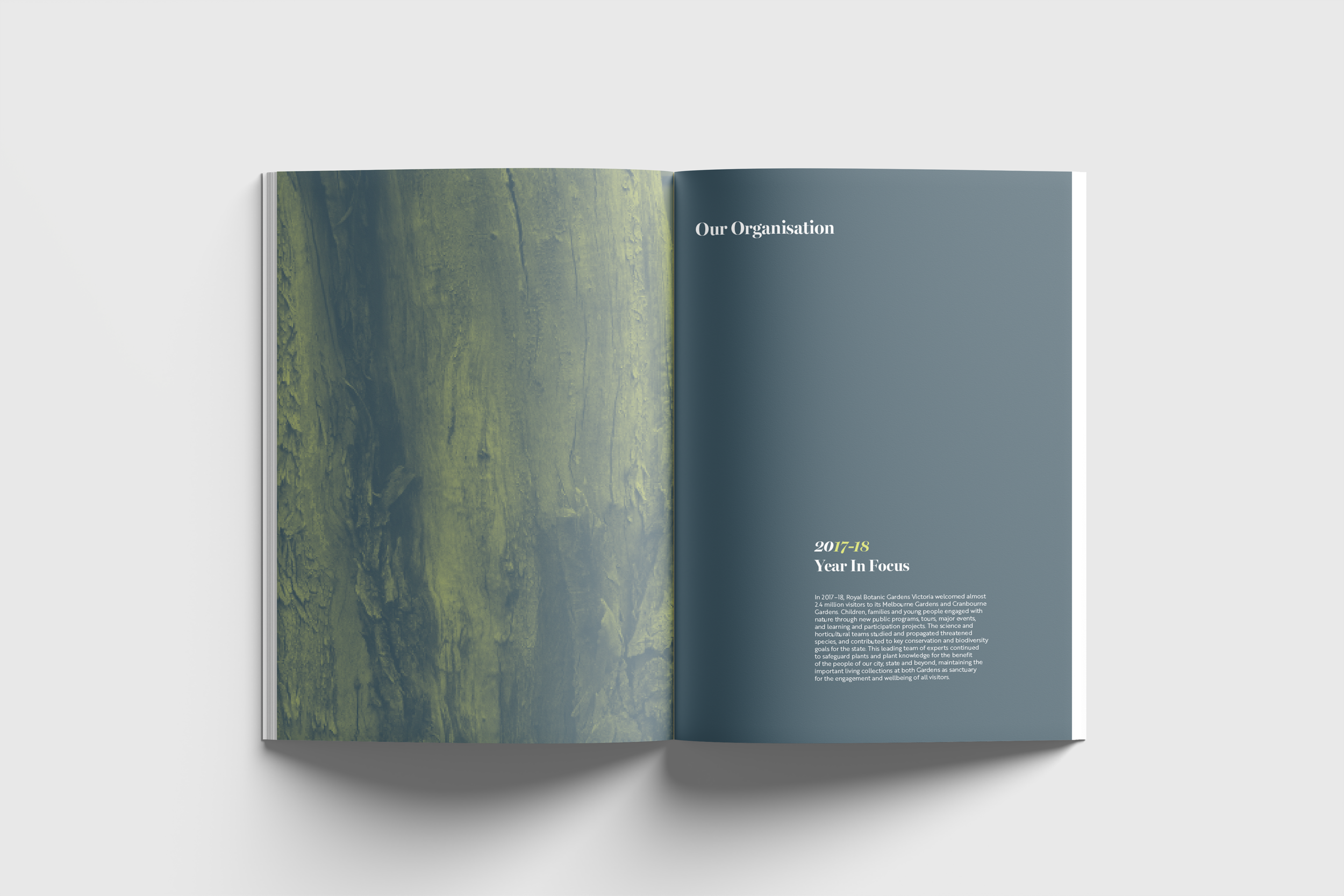 01 Free A4 A5 Magazine Mockup.6.png