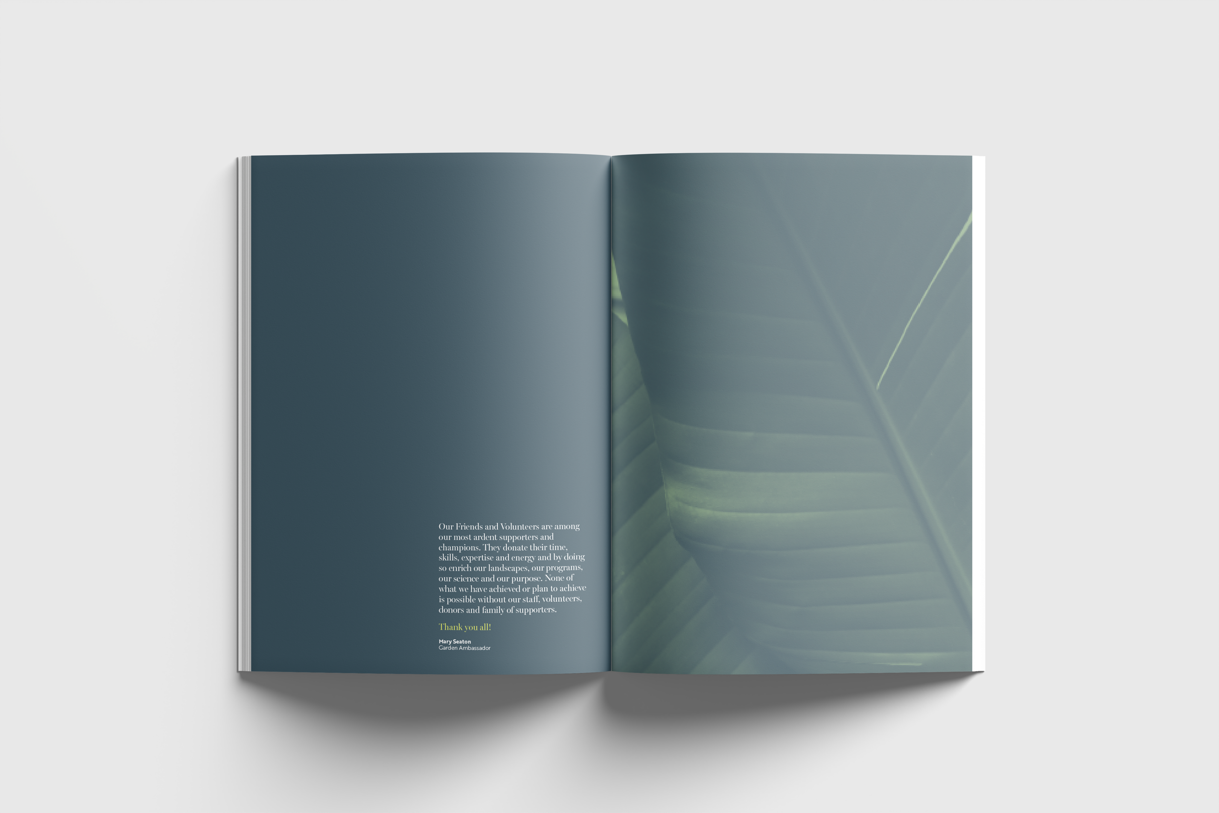 01 Free A4 A5 Magazine Mockup.11.png