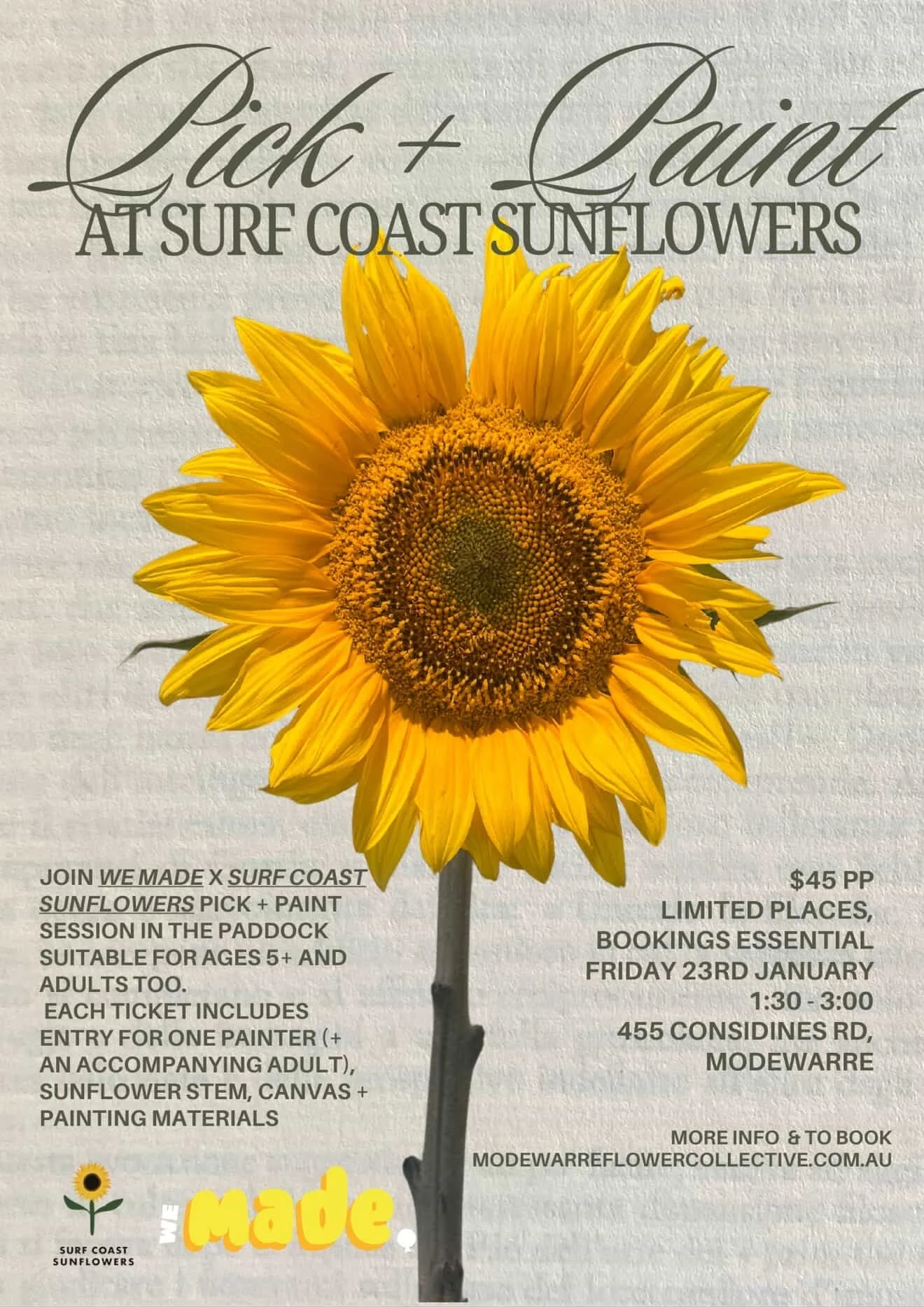 Painting in the patch - We Made x Surf Coast Sunflowers