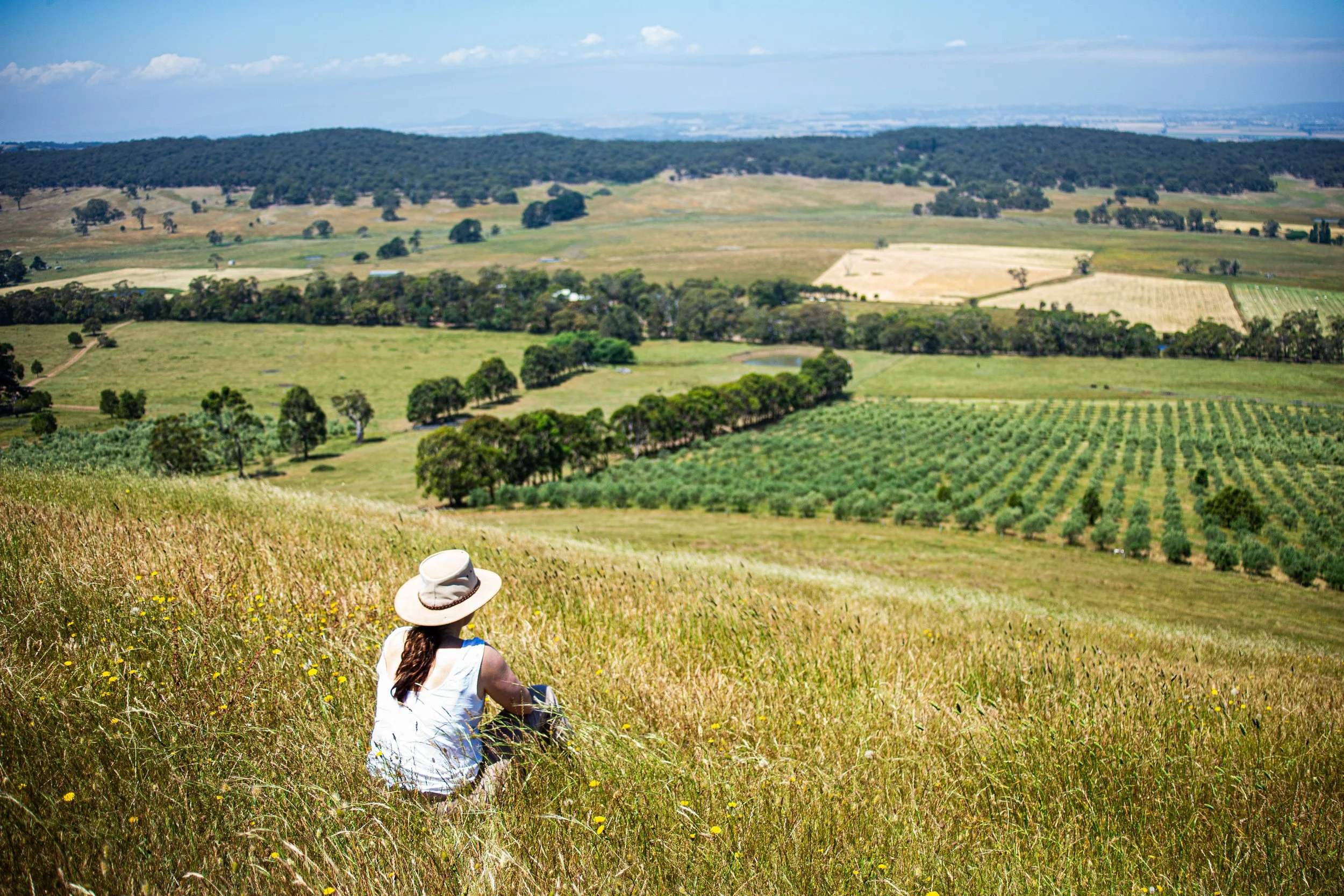 A woman sitting in a field overlooking rolling green hills and farmland on a sunny day.