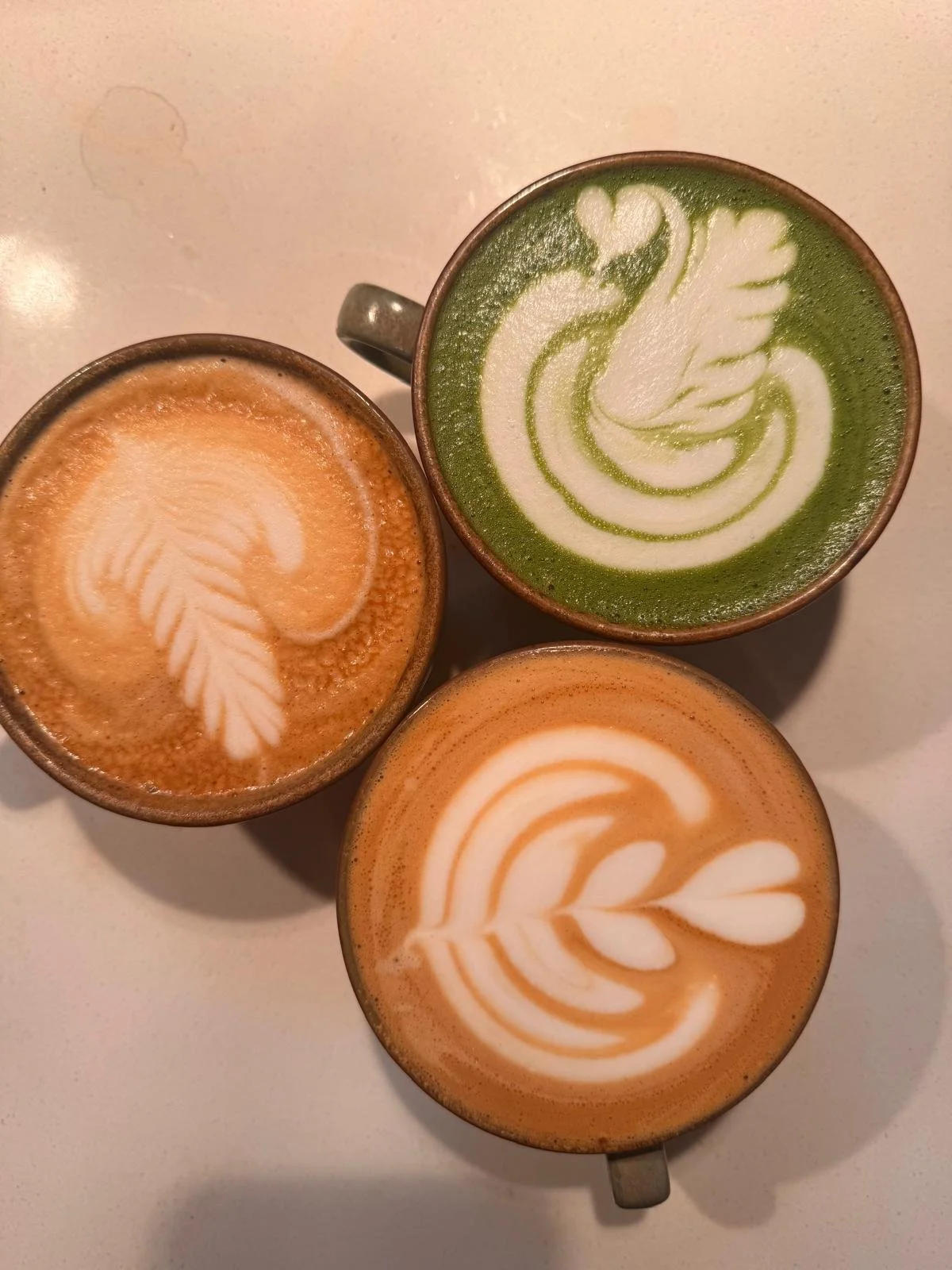 WhatsApp Image 2026-03-29 at 09.53.08 (12).jpeg