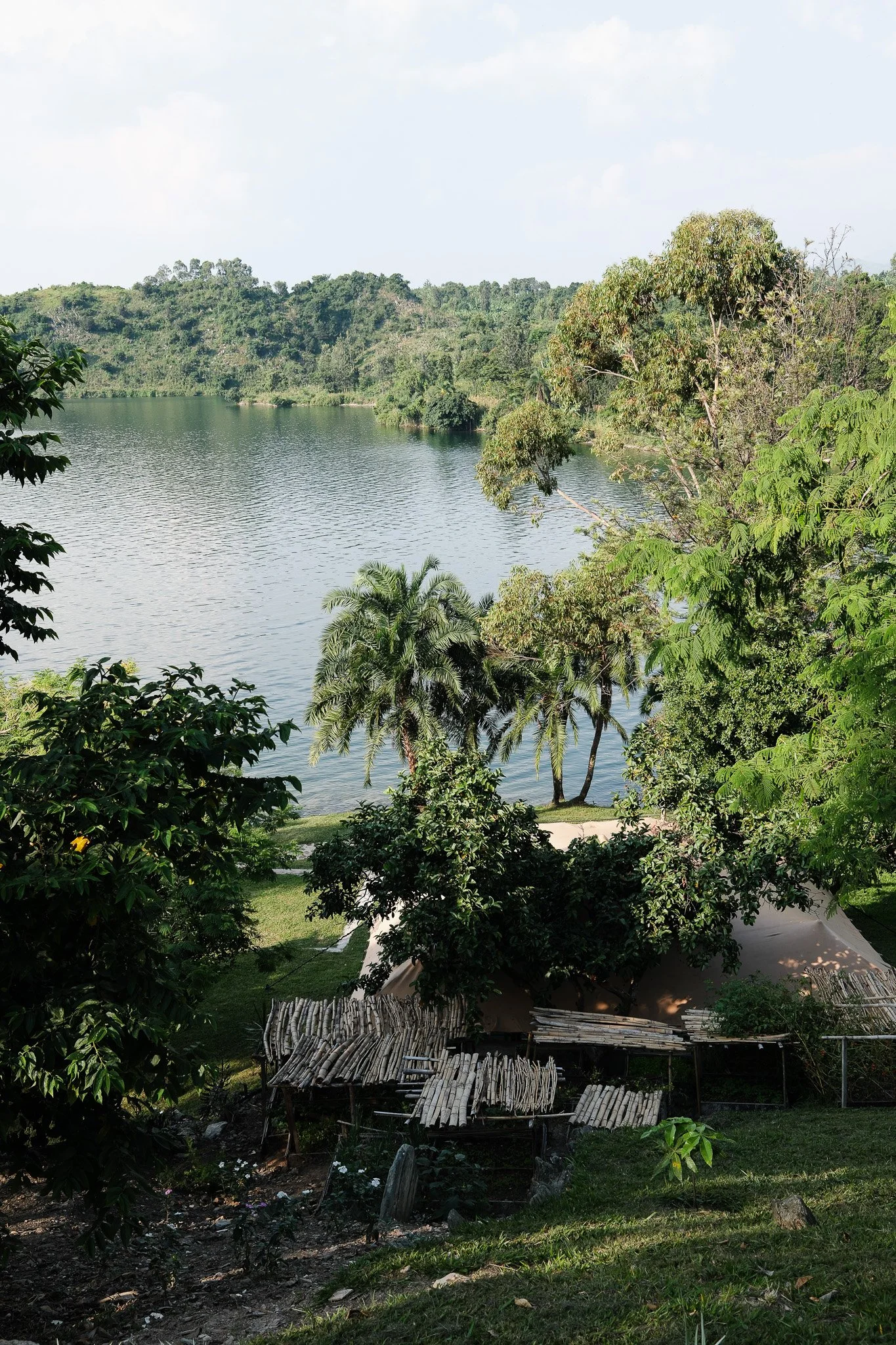 🌿 An intimate sanctuary of greenery, crafted for relaxation and timeless views.