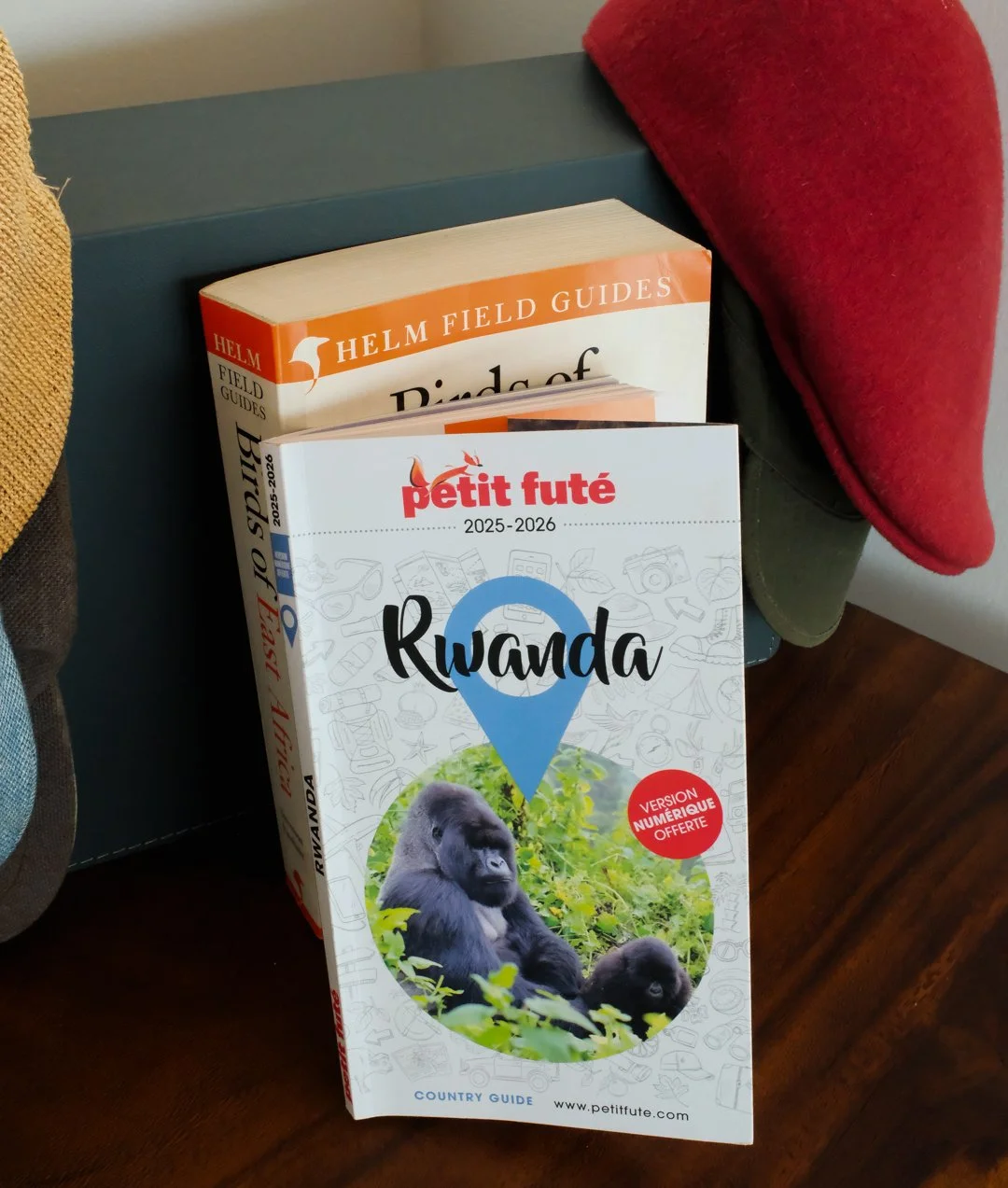 🌿✨Proud to be featured in Le Petit Fut&eacute;! Umurobyi Lodge recognized as a destination of serenity and luxury on Lake Kivu. 🌫

 #umurobyilodge #lakekivu #eastafrica #luxuryhotel #visitrwanda #slowtravel #boutiquehotel