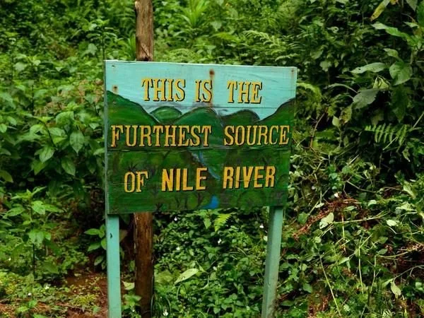 Source of Nile Nyungwe.jpg