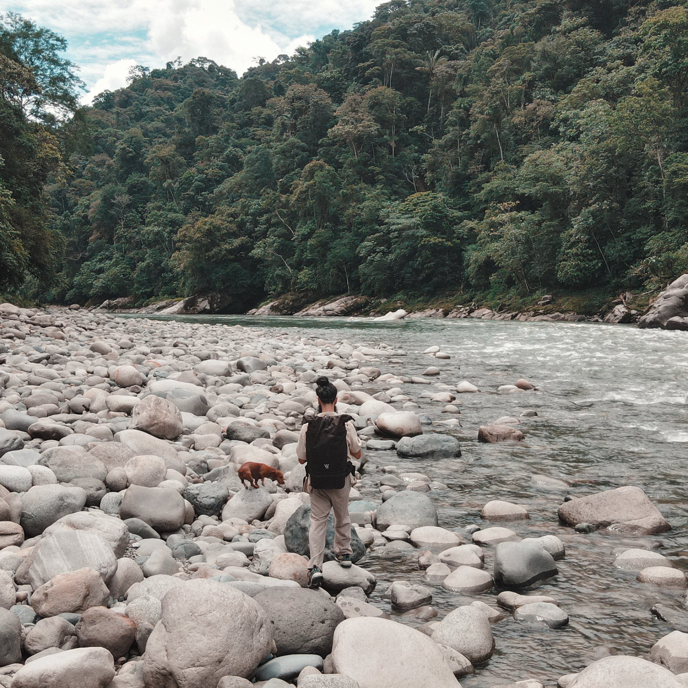 Nature´s Intelligence: Exploring Field, Culture & Impact