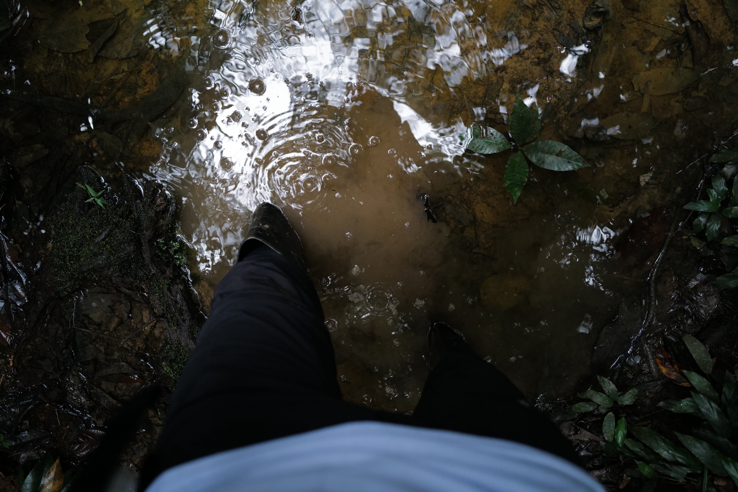 IMG_0482.jpeg