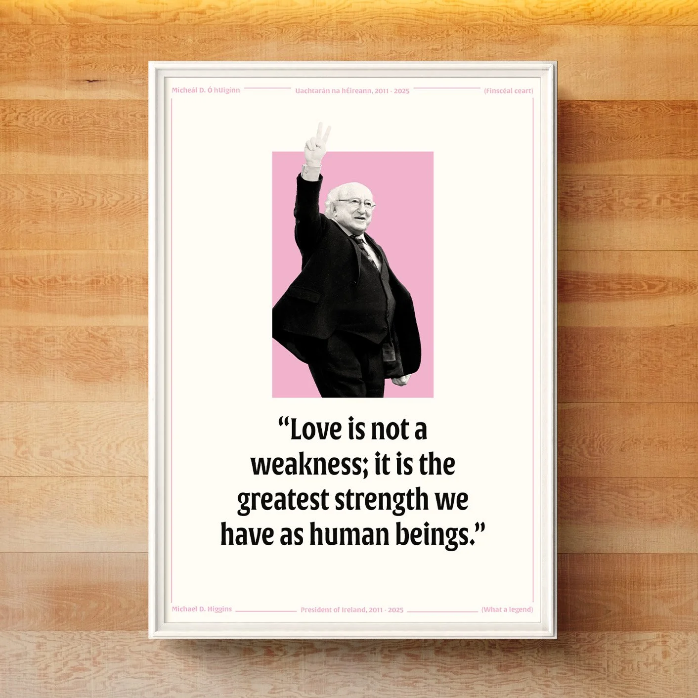 Michael D Higgins commemorative print_Framed.jpg