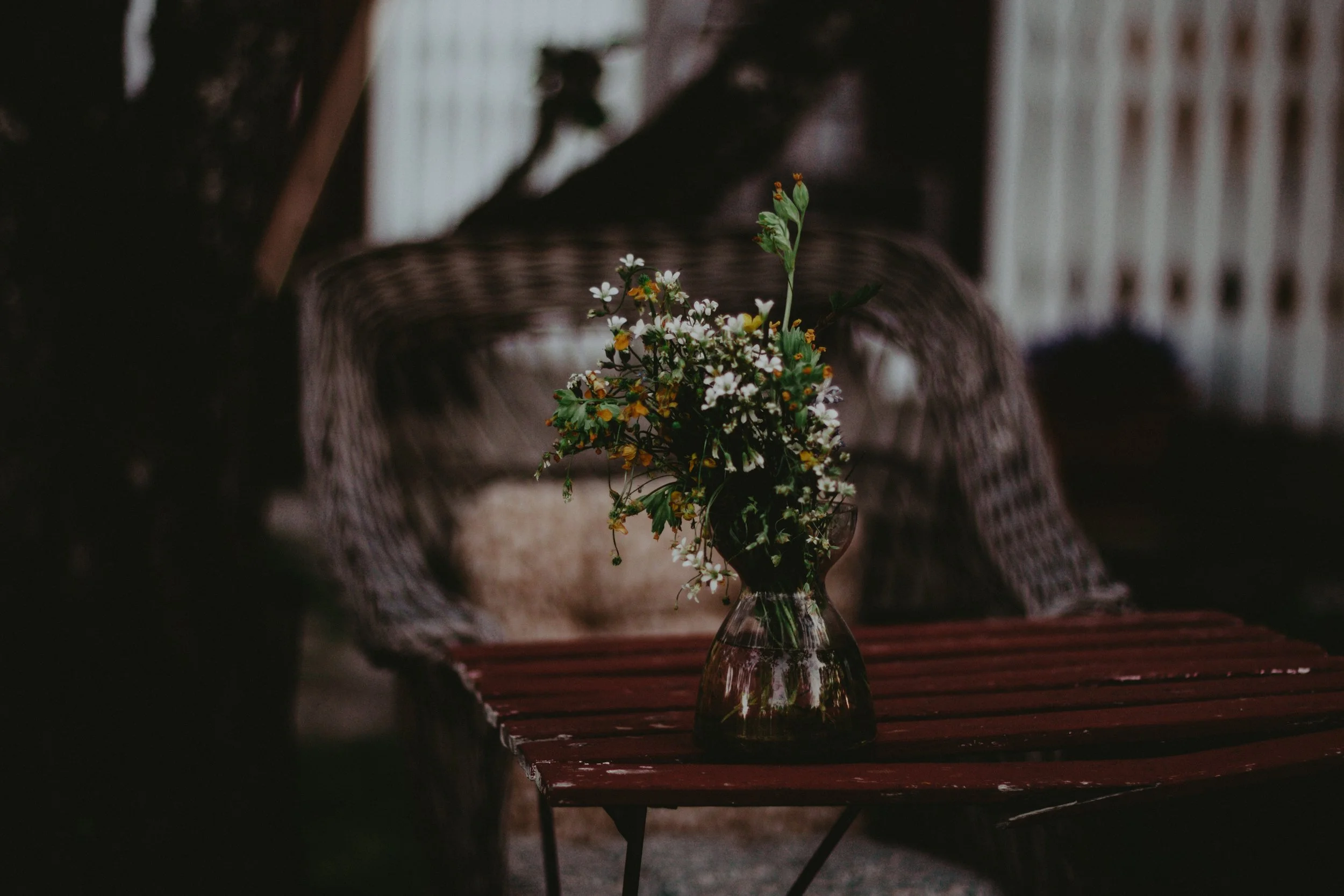 Creating a business based on regenerative principles