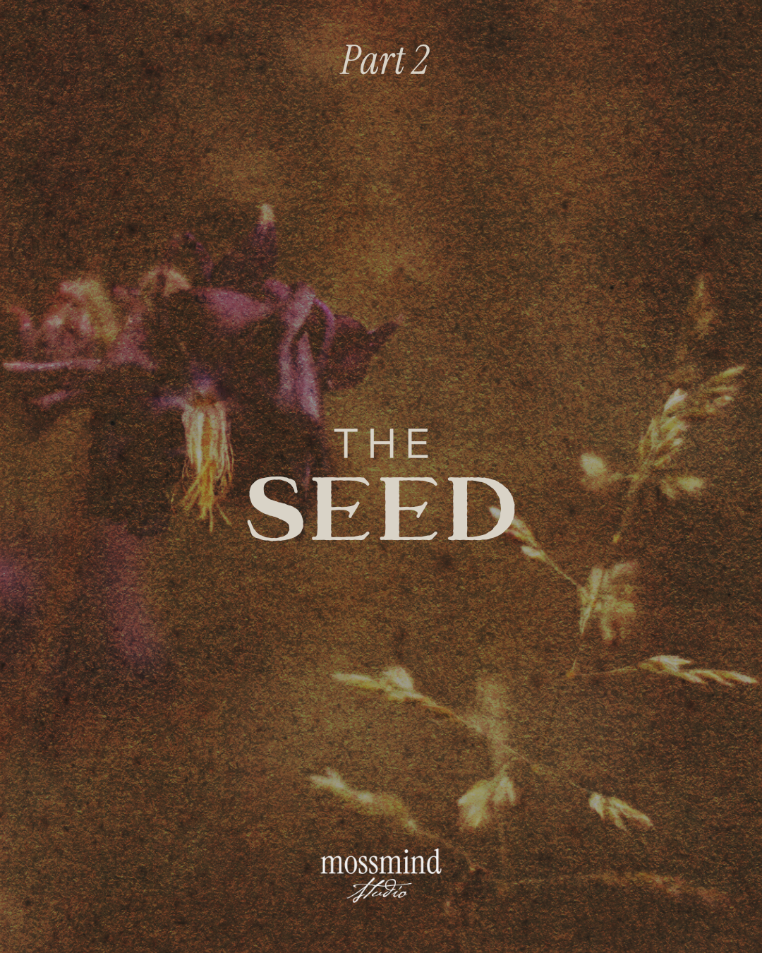 The Seed.