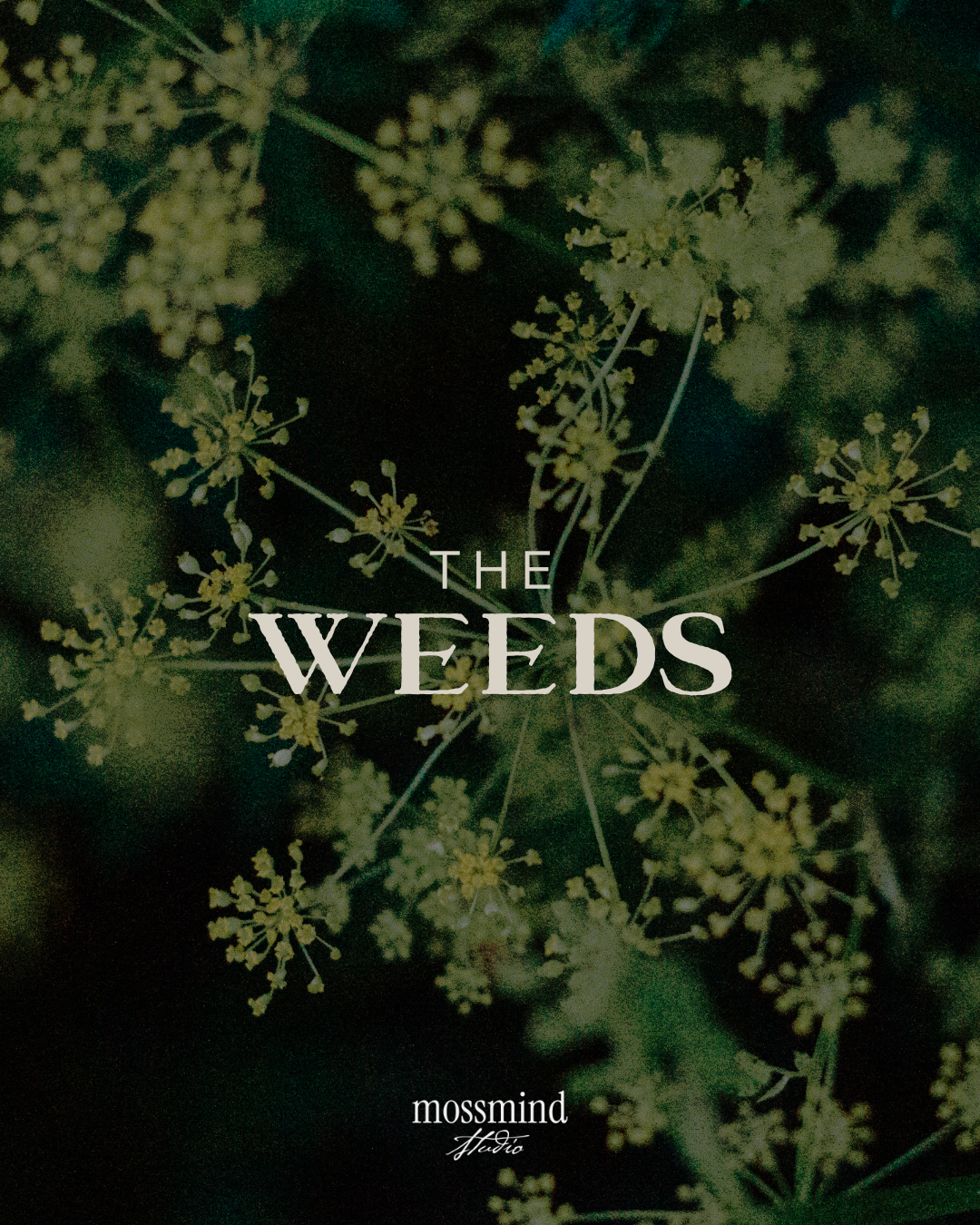 The Weeds.