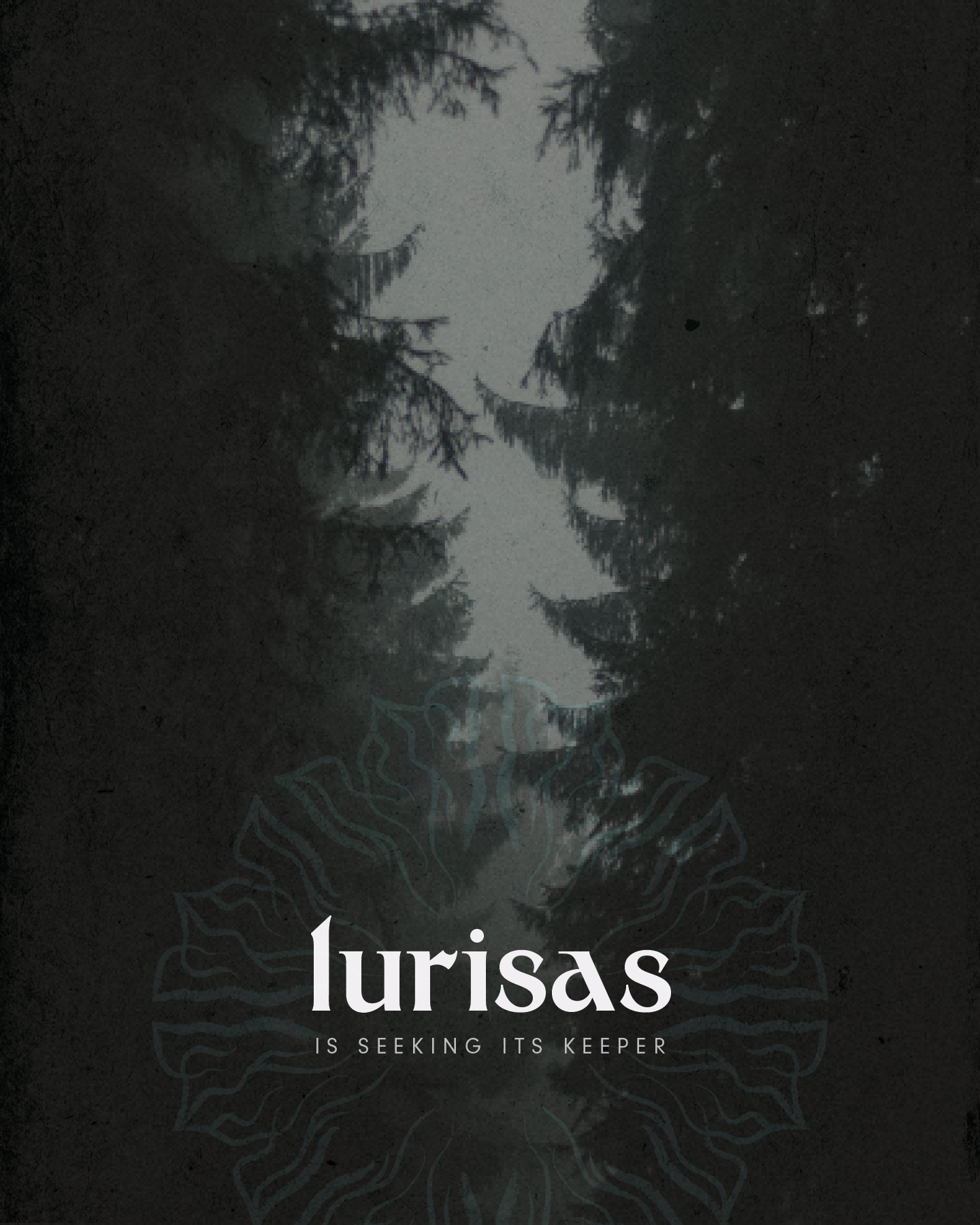 logo type on a dark forest background