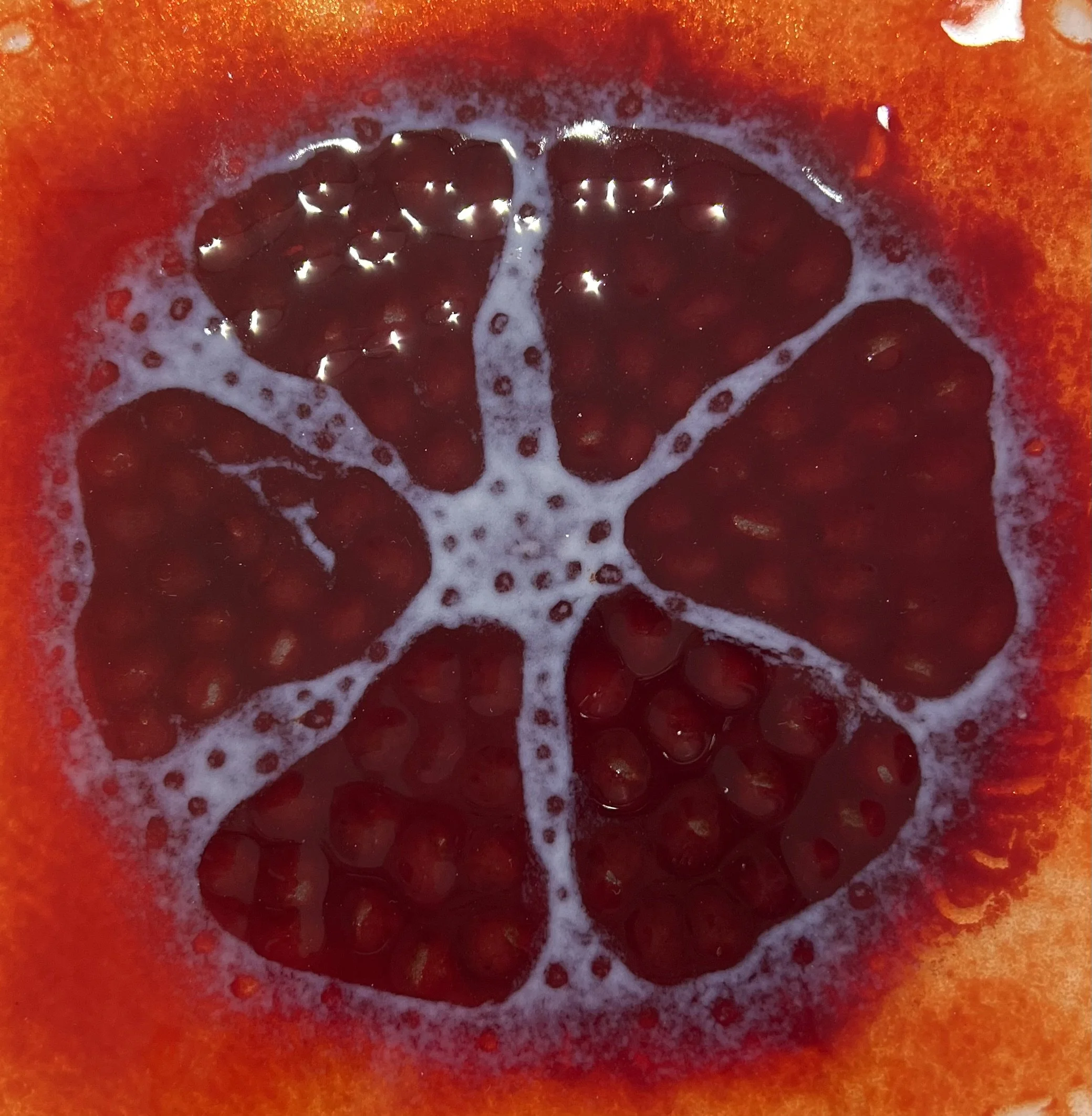 Bowen Deborah Pomegranate.jpg