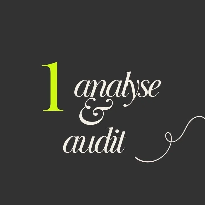 Analyse and Audit