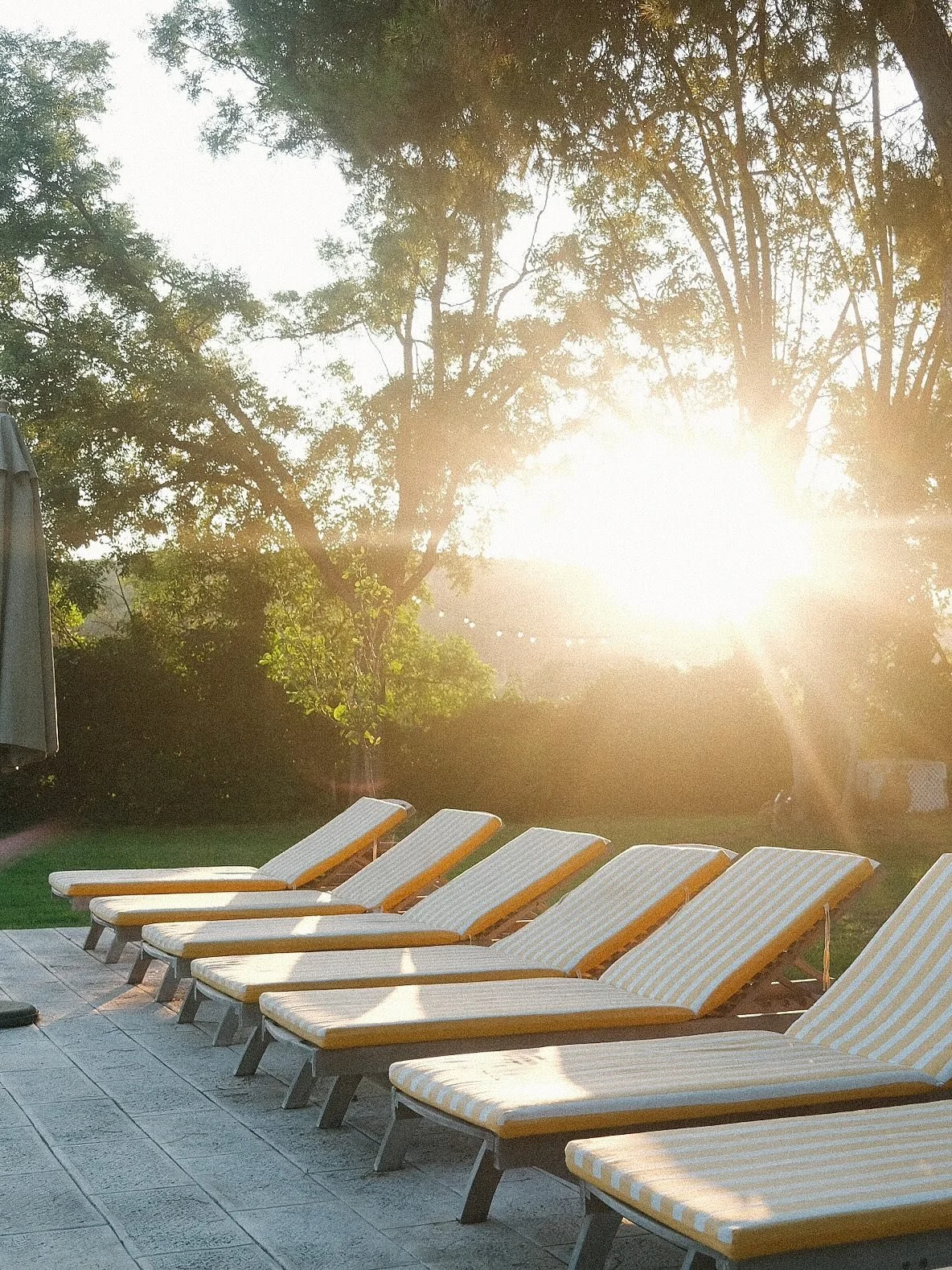 Swim-read-chill-take a nap-swim-read-chill-take a nap&hellip; again and again 🌞
.
.
.
.
.
.
.
#swimmingpool #masia #ecotourisme #piscineder&ecirc;ve #magicallight #sitges