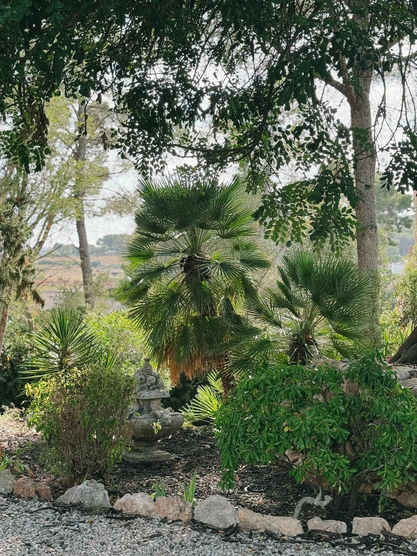 Life these days at Can Pares 💛
.
.
.
.
.
.
.

.#canpares #masia #catalunya #slowlife #countryside #mediterranean