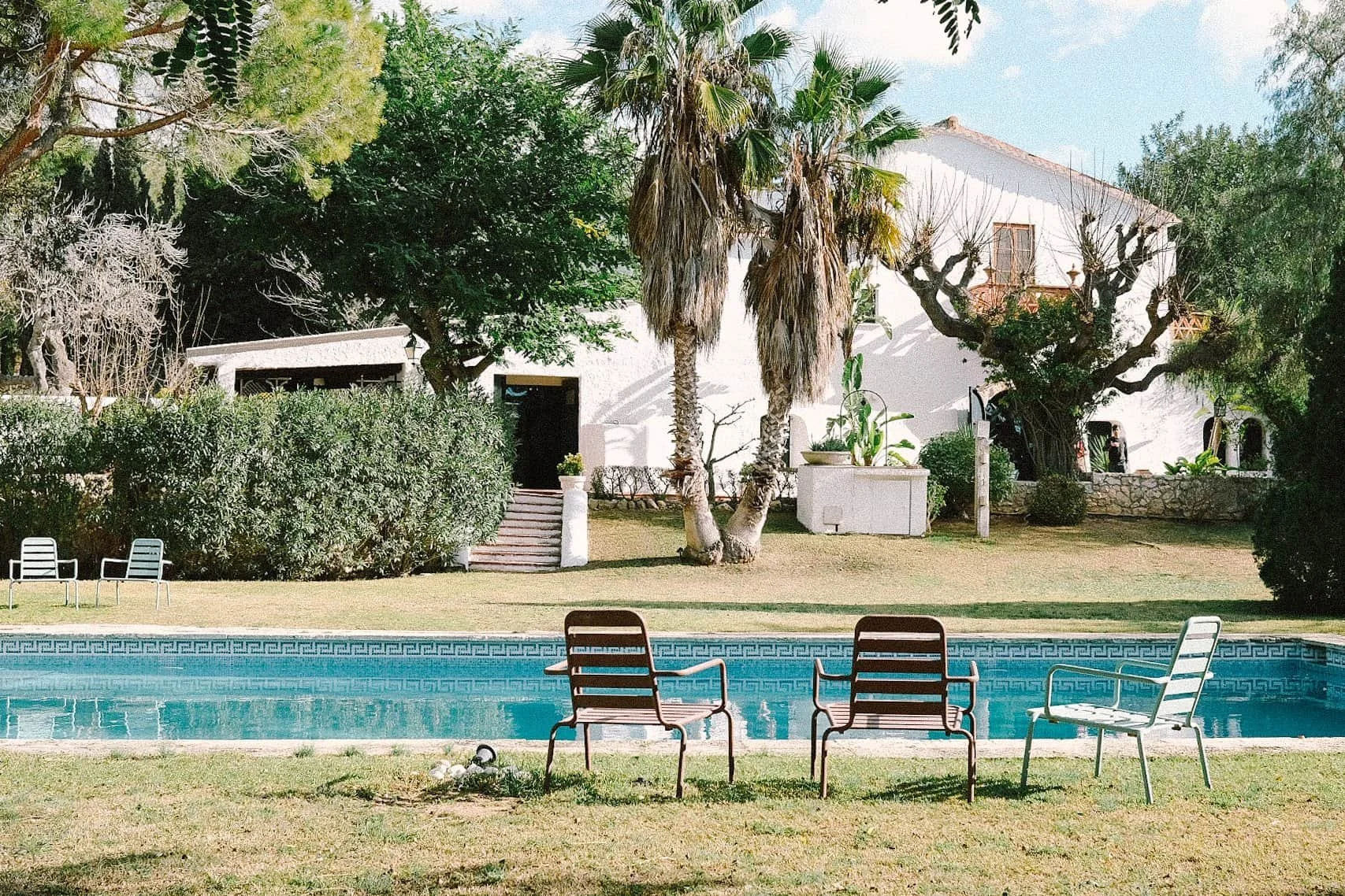 A backyard with a swimming pool, outdoor chairs, a lush green lawn, tall palm trees, and a white house in the background.
