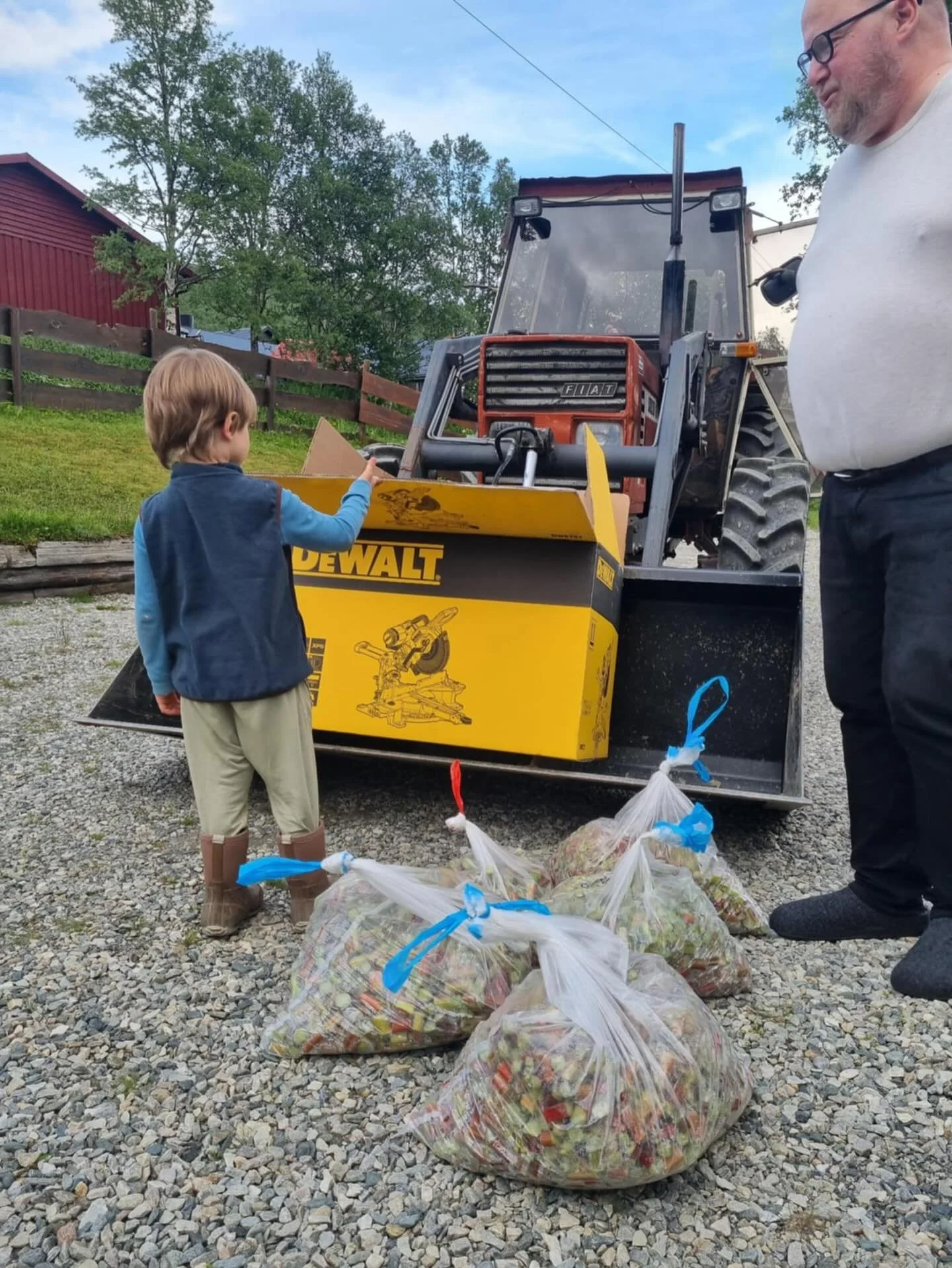 103 kilo!!! 😮😍
Jeg la ut en ydmyk forespørsel på FB i forrige uke, til ungene i bygda, om å få hjelp til å høste rabarbra. Etter selv å ha brukt litt for mange timer i fjor… 😅 
Kanskje noen hadd