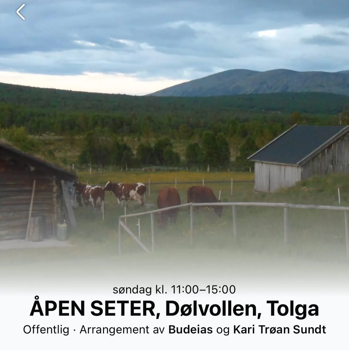 Velkommen til Å𝗽𝗲𝗻 𝘀𝗲𝘁𝗲𝗿 på Dølvollen i Hørdtdalen, Tolga, førstkommende 𝘀ø𝗻𝗱𝗮𝗴 𝟮𝟬. 𝗷𝘂𝗹𝗶 𝟮𝟬𝟮𝟱! 🐄🌱🧇
Tid: 11:00 - 15:00
Sted: Ryan 321, Tolga
Det blir som alltid mulighet til å k