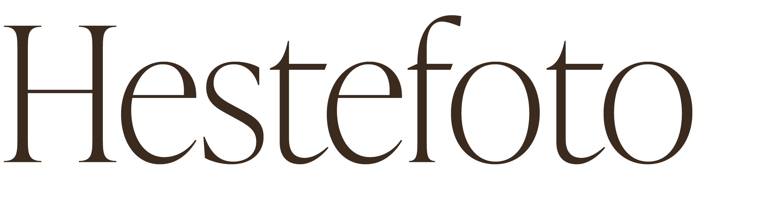 Logo med teksten 'Hestefoto' i en stor, elegant brun skrifttype på en gjennomsiktig bakgrunn.