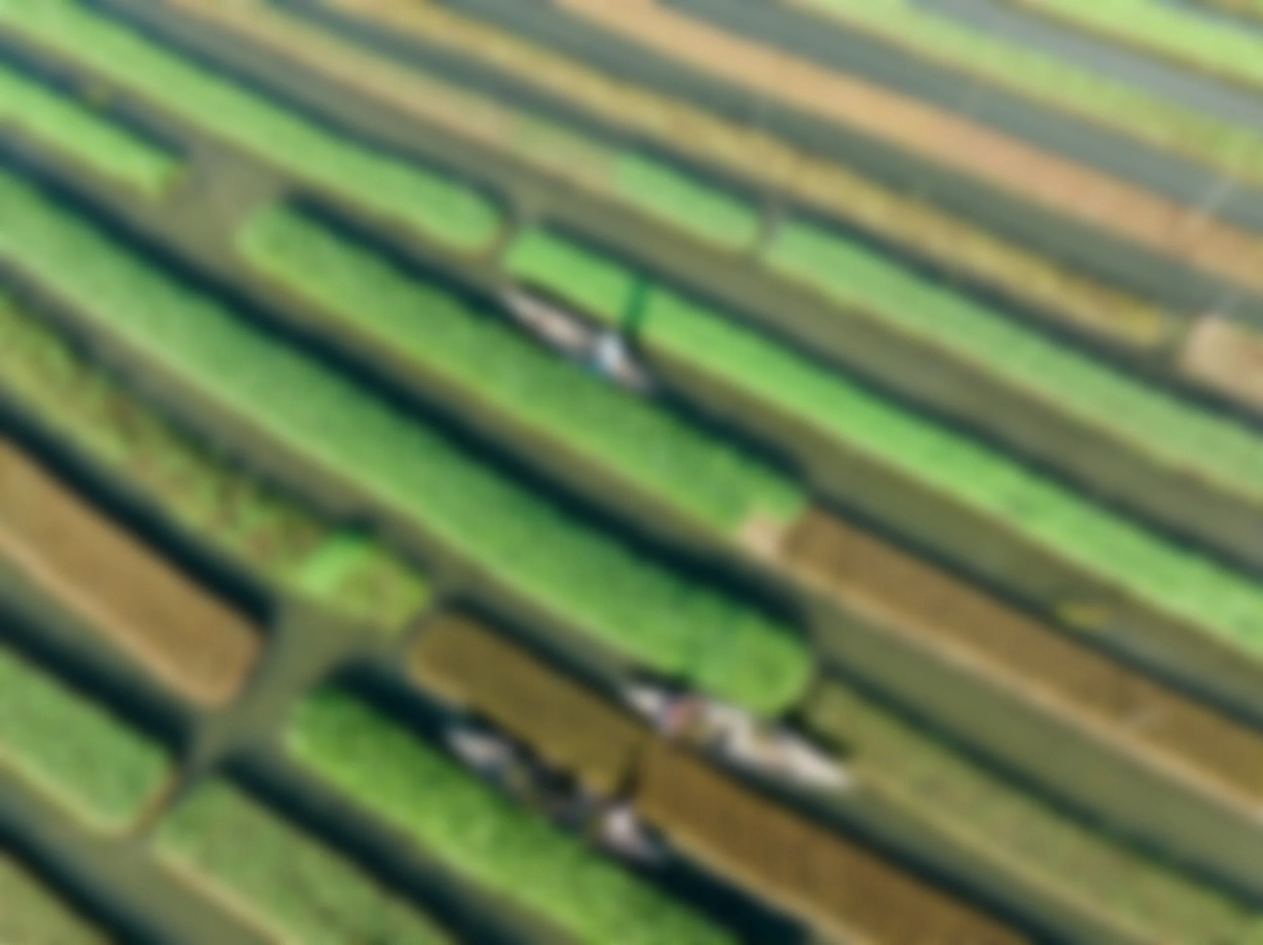 Willian Justen de Vasconcellos/ Unsplash