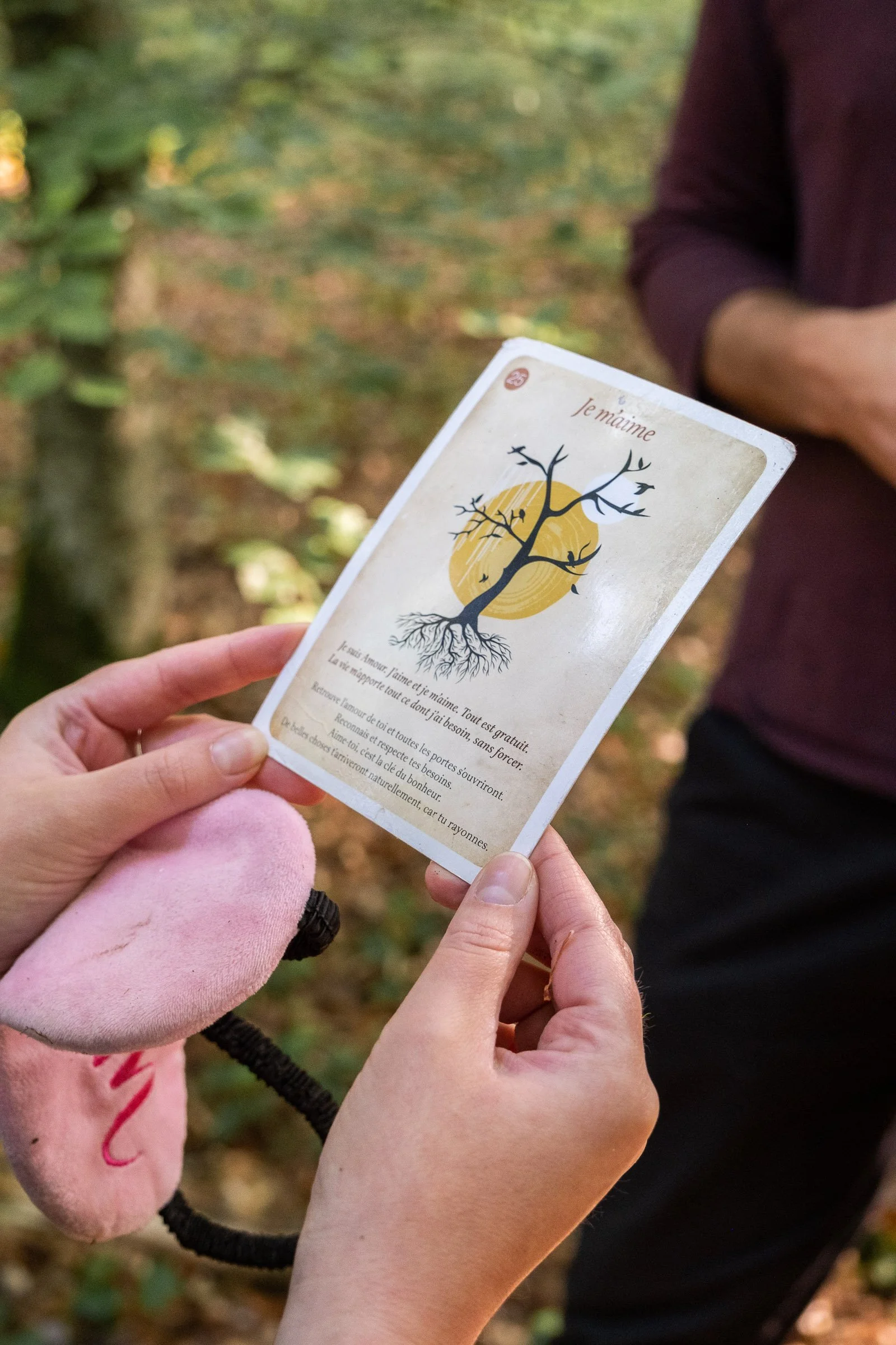 ©Julie Carpentier-Nicolas Laurain-Sylvotherapie-2021.jpg