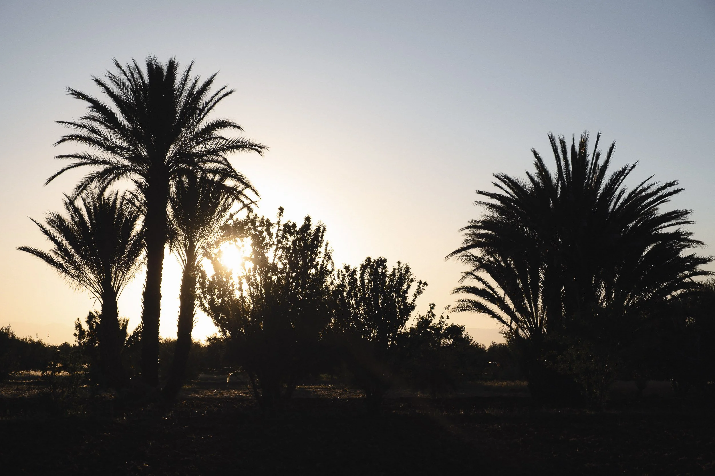 Maroc-2018 ©Julie Carpentier-89.jpg