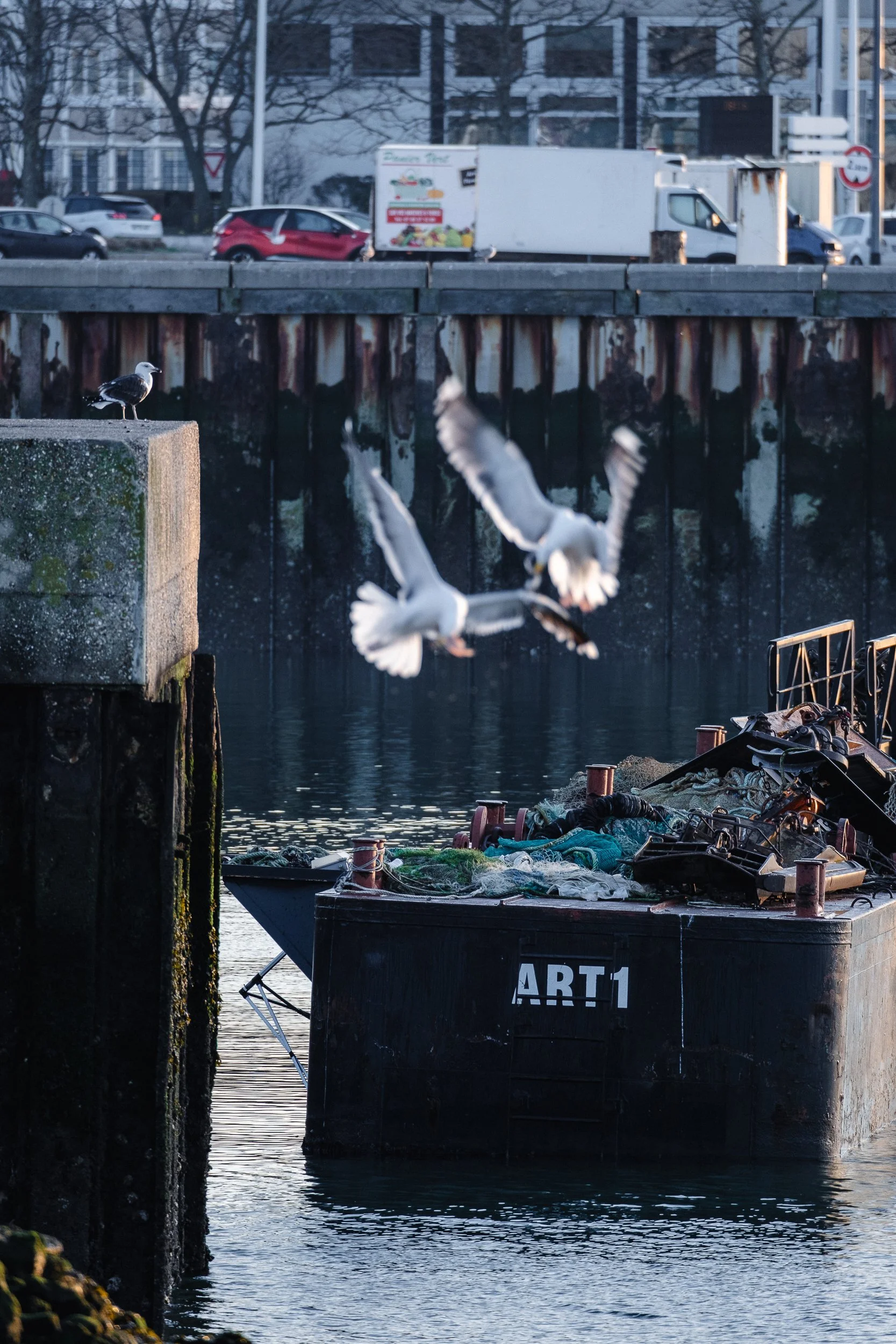 Le Havre © Julie Carpentier_2026-32.jpg