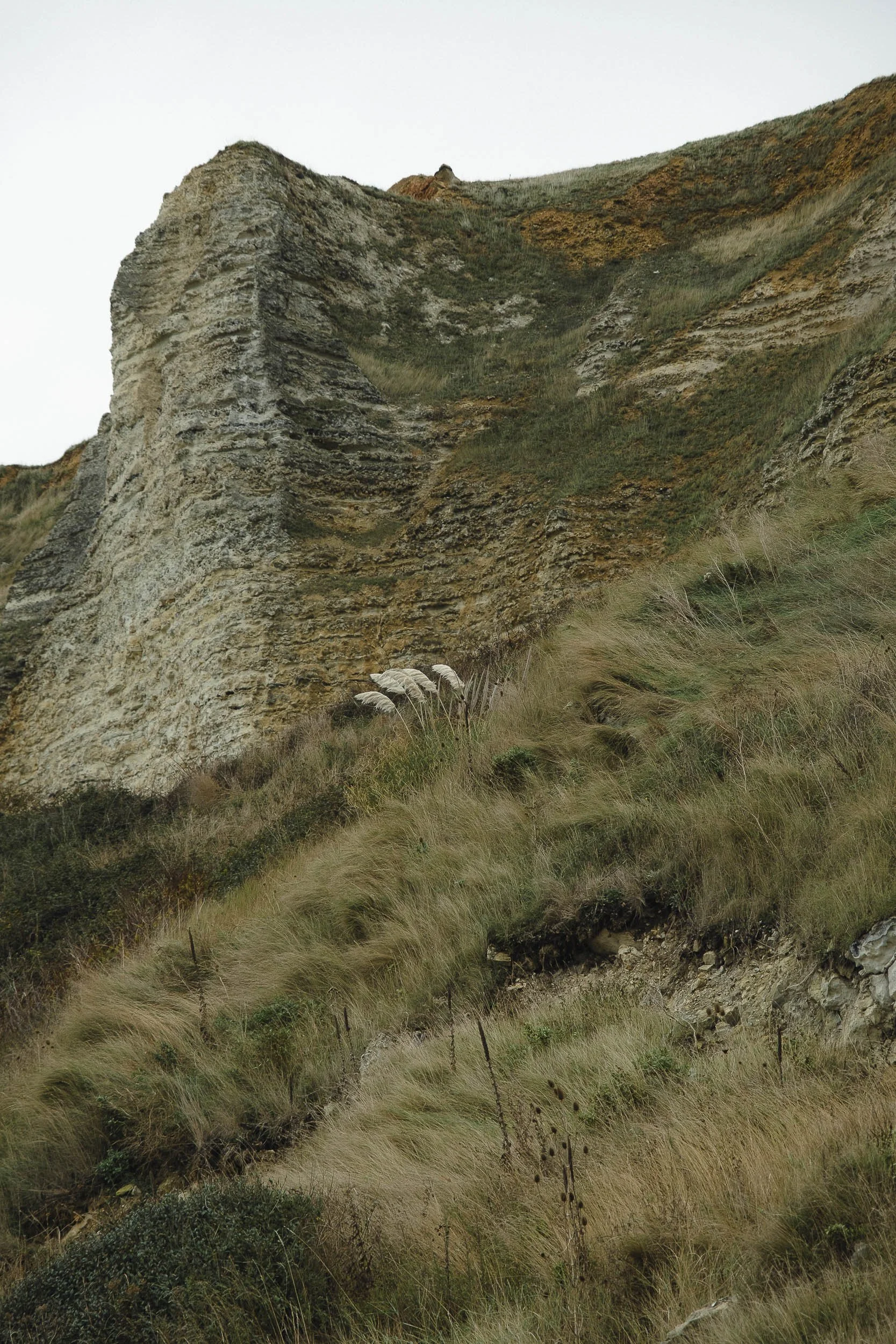 Cote Albatre©Julie Carpentier-23-2.jpg