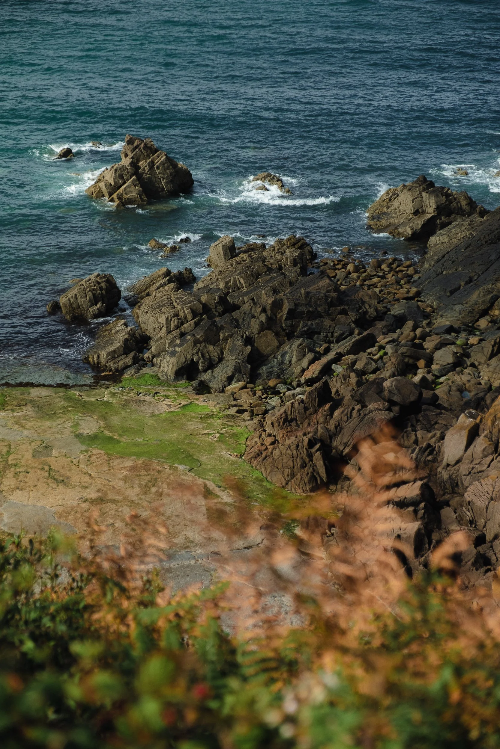 Cotentin © Julie Carpentier_2026-43.jpg