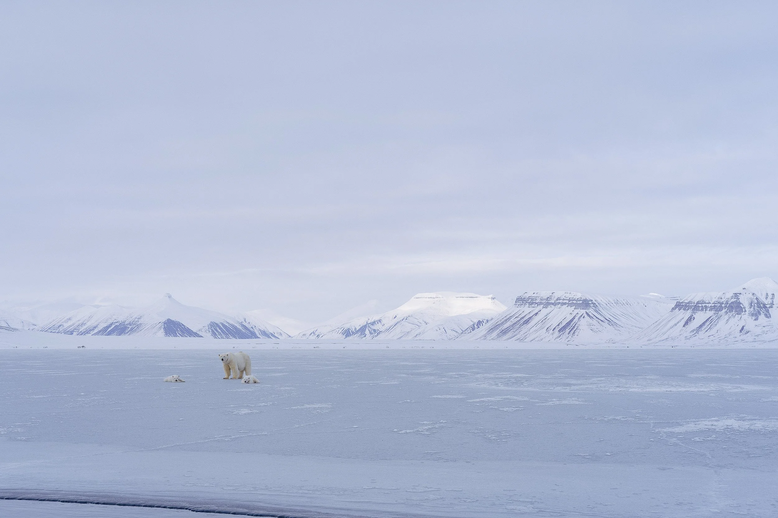 Svalbard-2017 ©Julie Carpentier-05.jpg