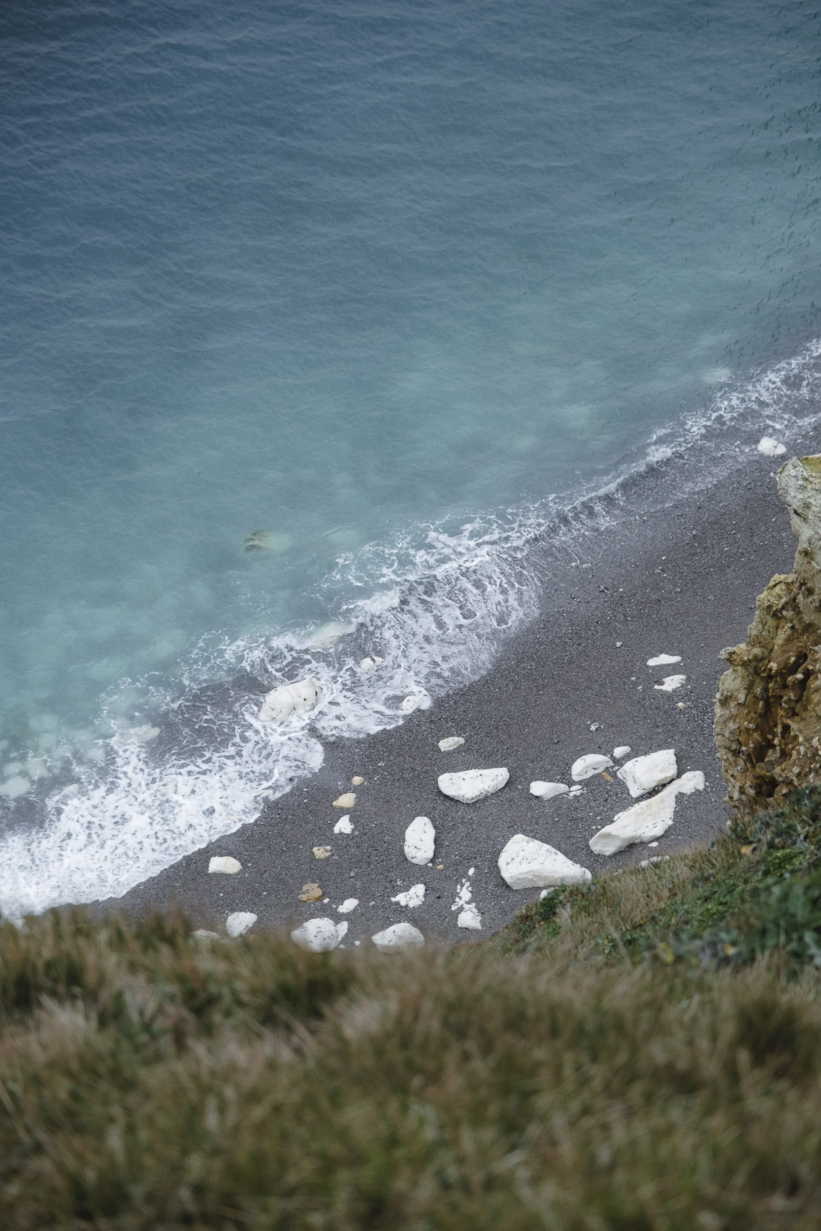 Cote Albatre-2026©Julie Carpentier-25.jpg