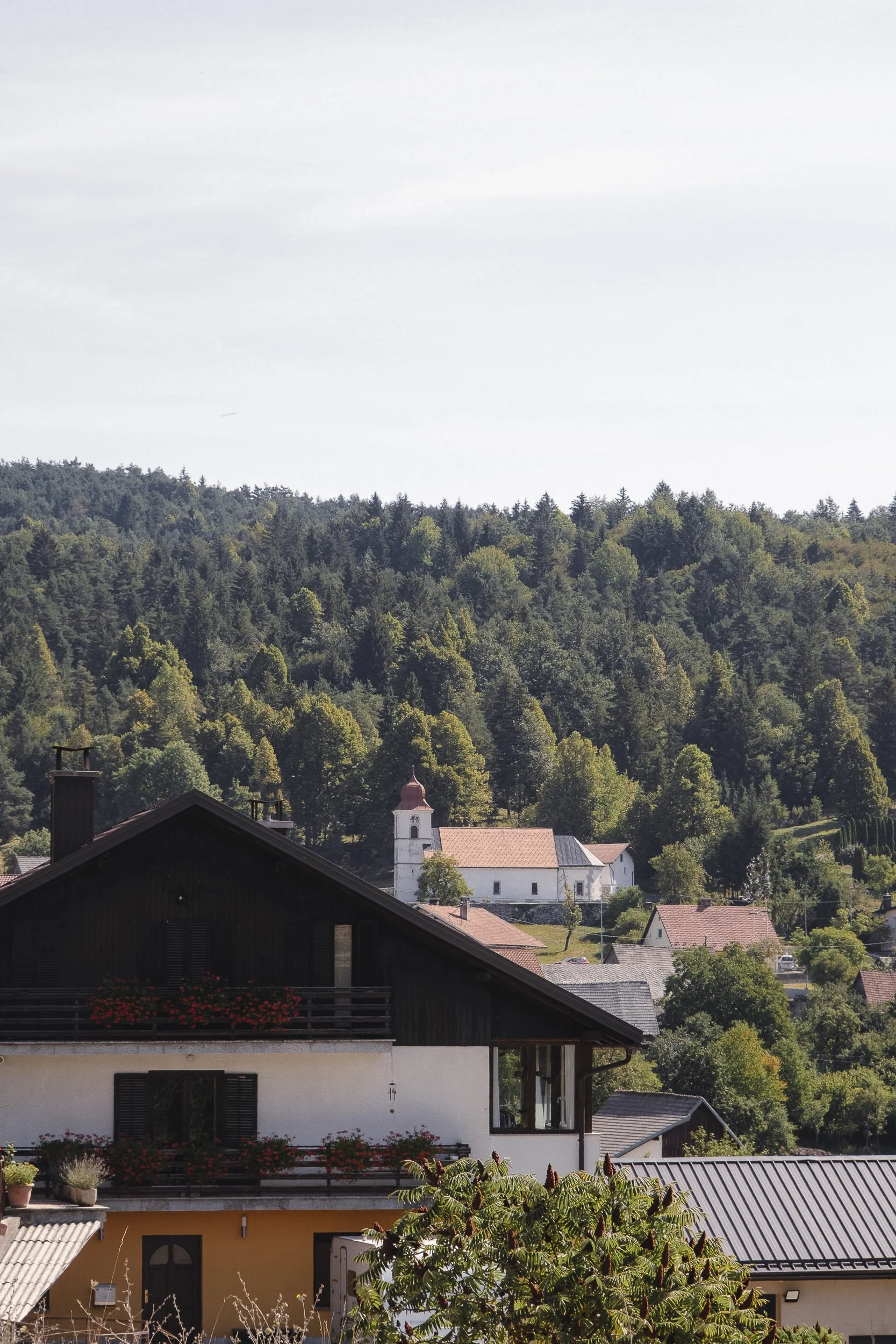 Slovenie 2022 ©Julie Carpentier-79.jpg