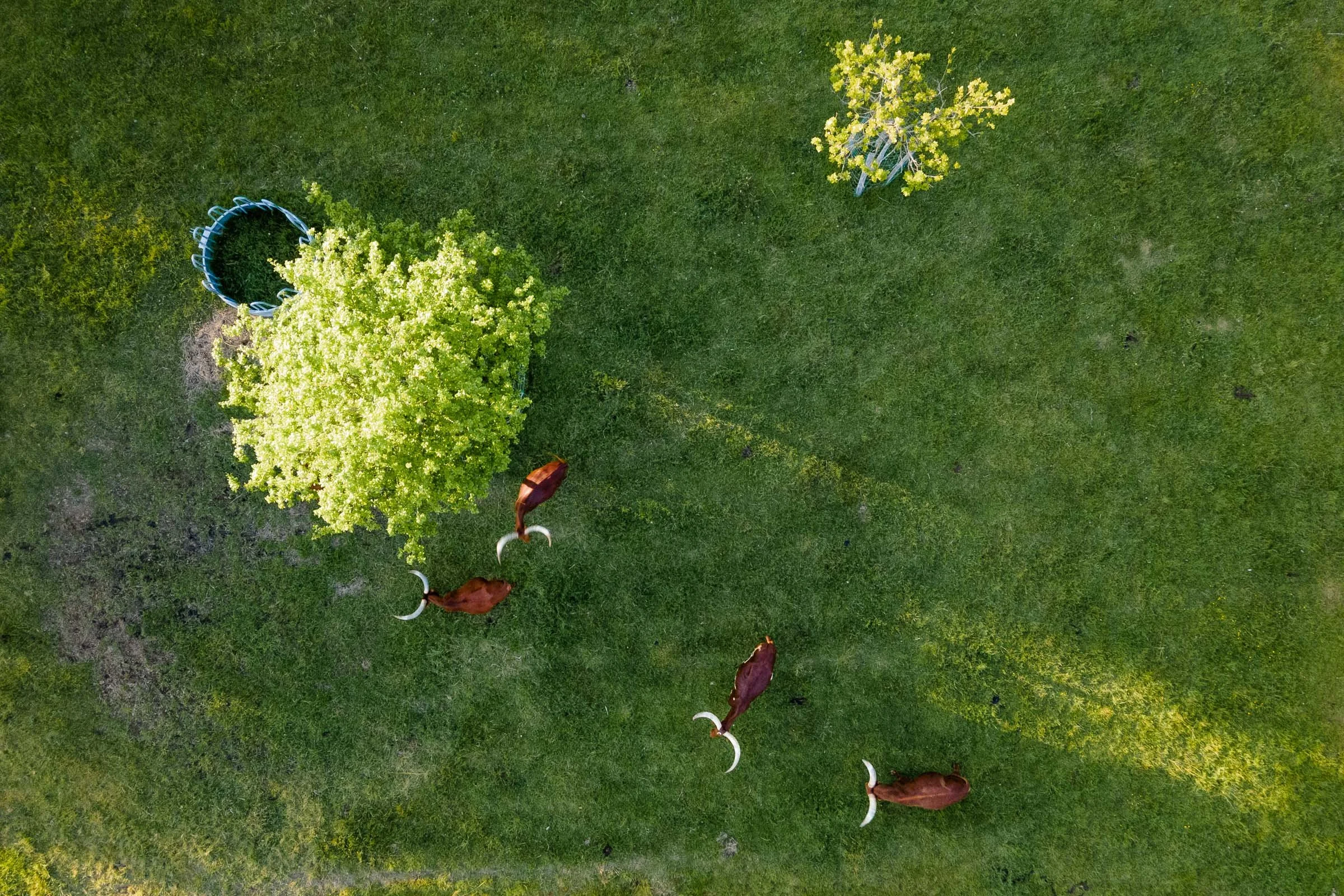 Parc animalier d'Écouves