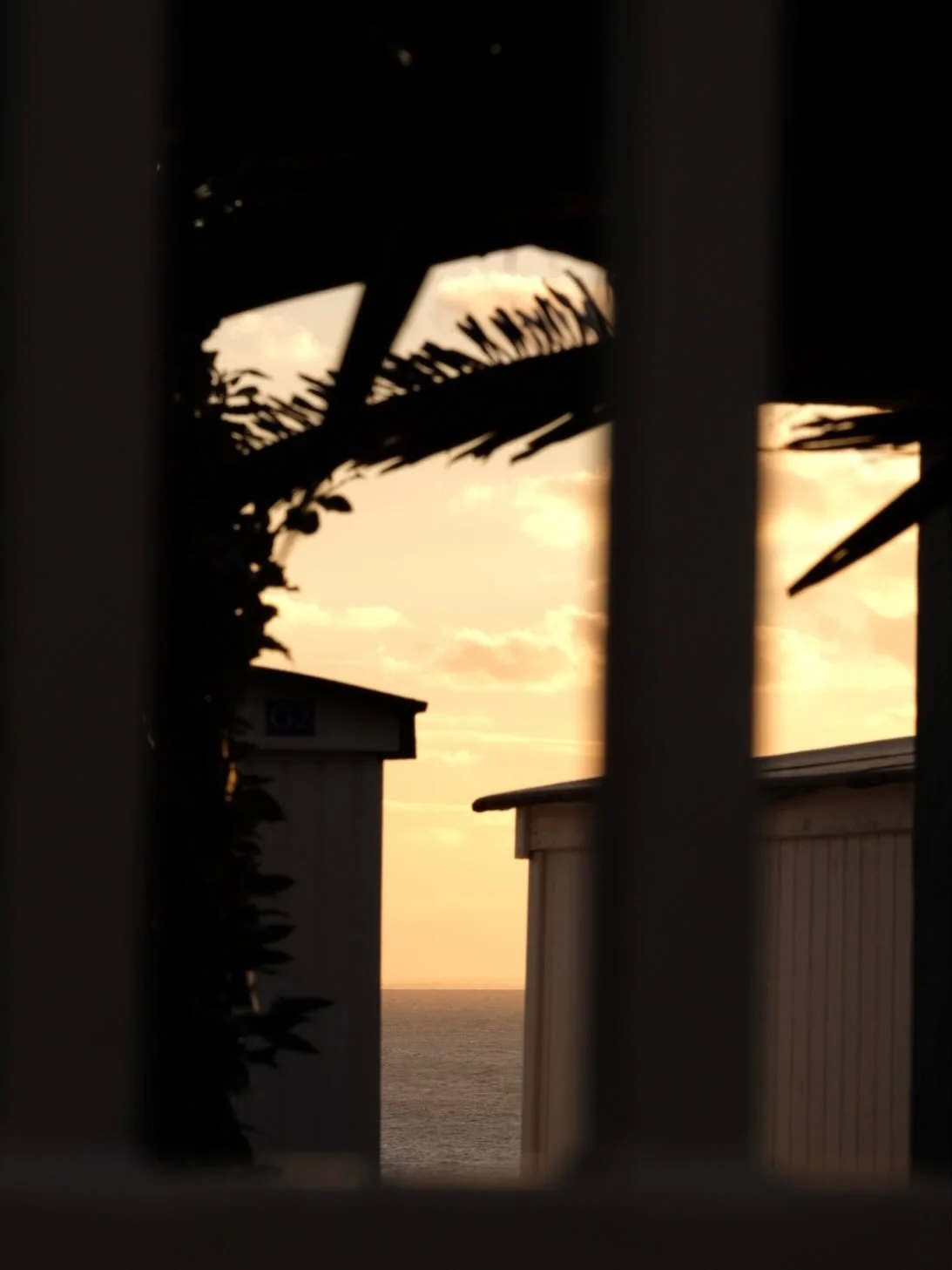 Couchers de soleil en hiver - Le Havre/Sainte-Adresse, Janvier 2026

Le froid revigorant, la lumi&egrave;re solaire qui illumine l&rsquo;eau, le ciel parsem&eacute; de nuages color&eacute;s, les balades emmitoufl&eacute;es, les reflets ros&eacute;s d
