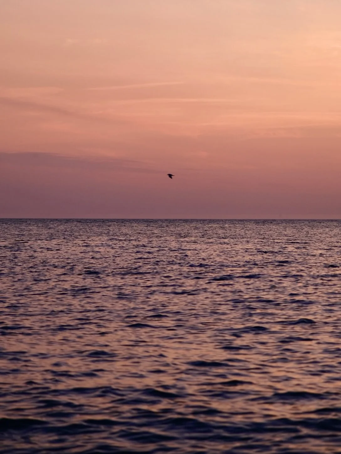 Coucher de soleil &agrave; la plage - Le Tilleul, Juin 2025

Ou quand la lune des fraises annonce d&eacute;j&agrave; les pr&eacute;mices de ses couleurs&hellip;

#sunset #explore_normandie #lehavretourisme #normandybeach #sunsetlovers #seaside #fujif