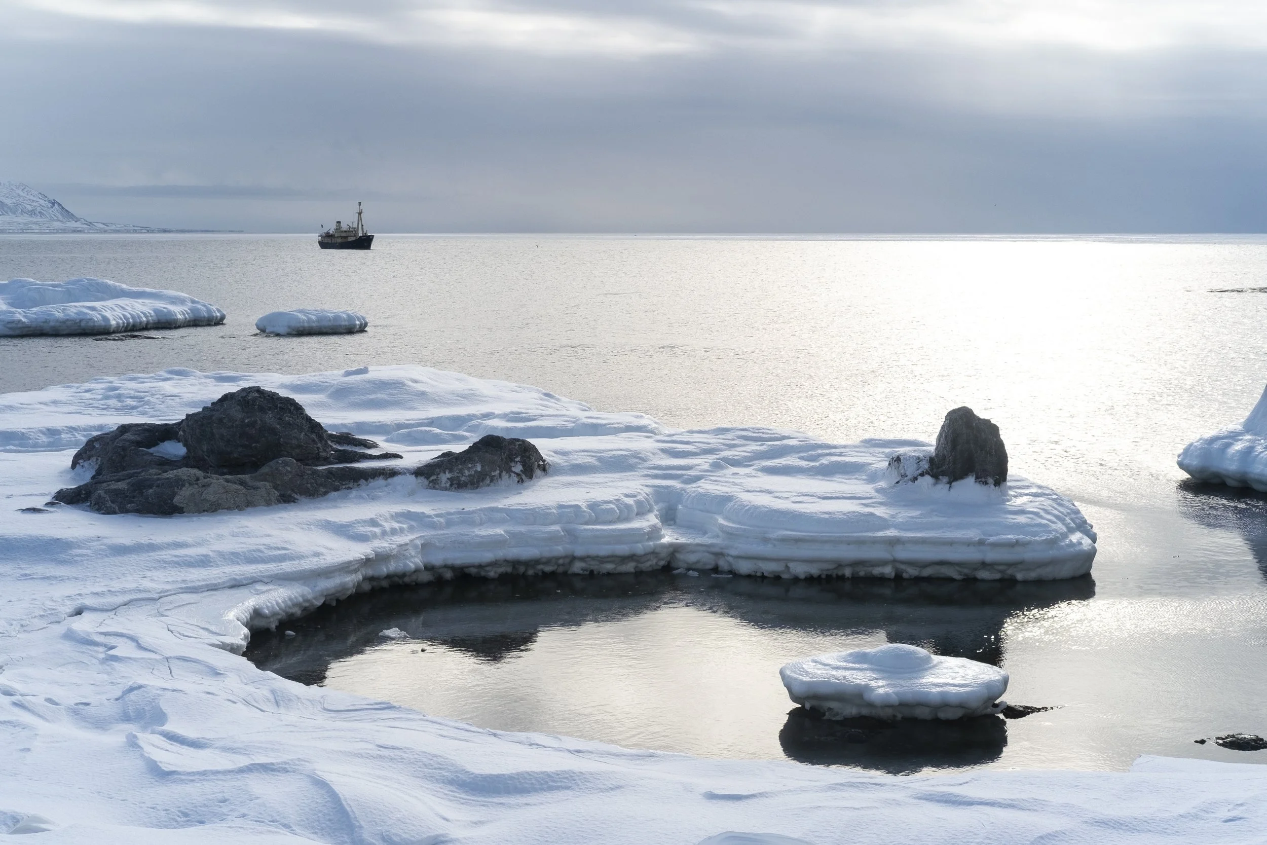 julie carpentier-2021-svalbard-9484.JPG