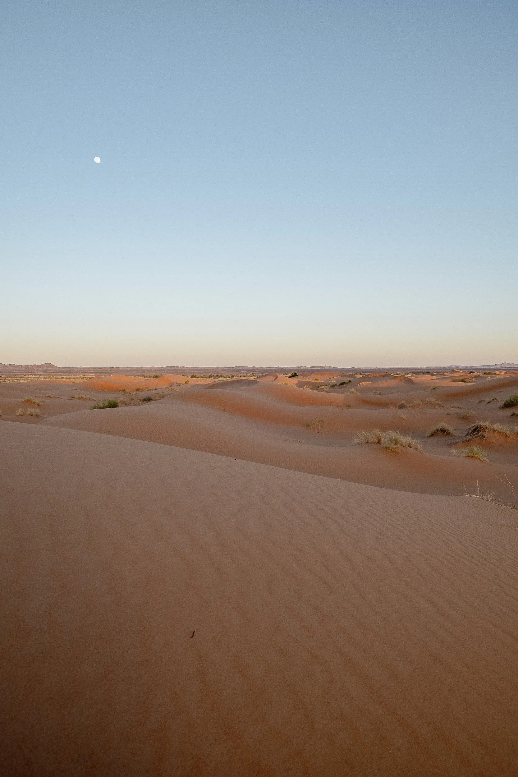 Maroc-2018 ©Julie Carpentier-111.jpg