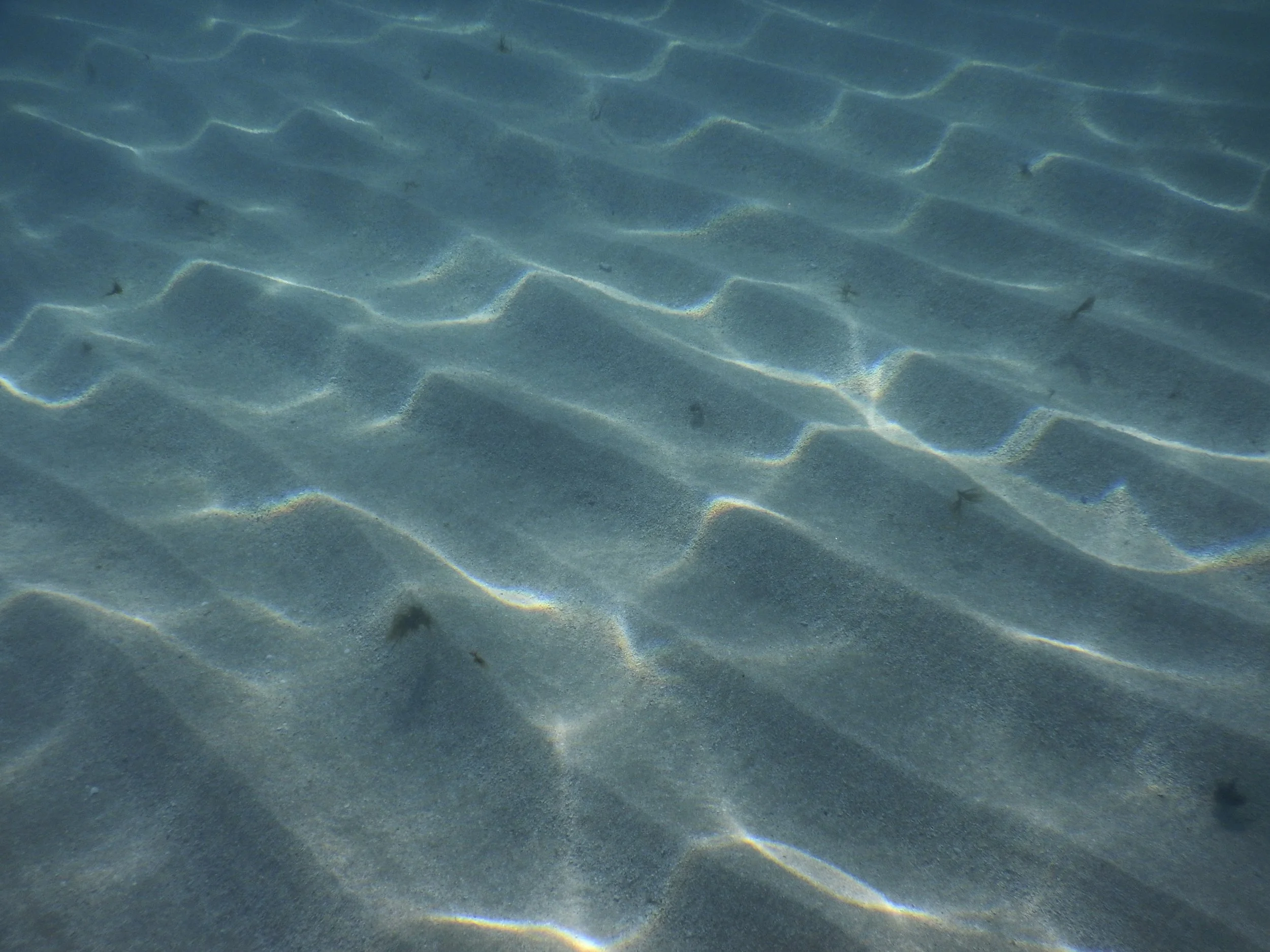 Julie Carpentier-2021-Tonga-0973.jpg