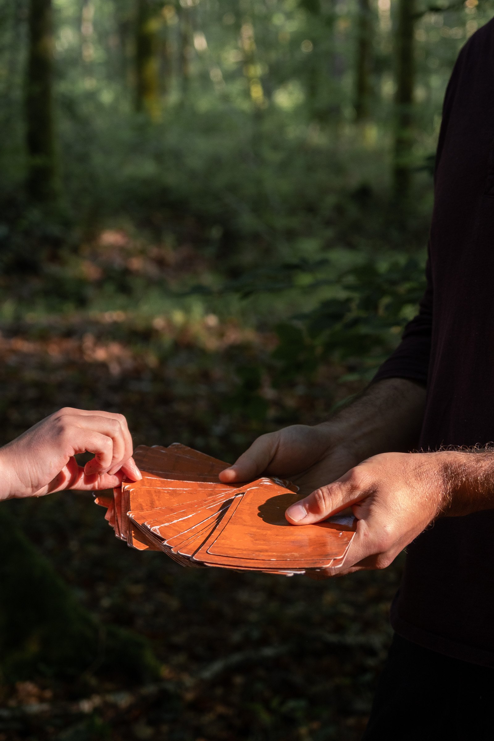 ©Julie Carpentier_Wild North Studio_Sylvotherapie_2021-9910.jpg